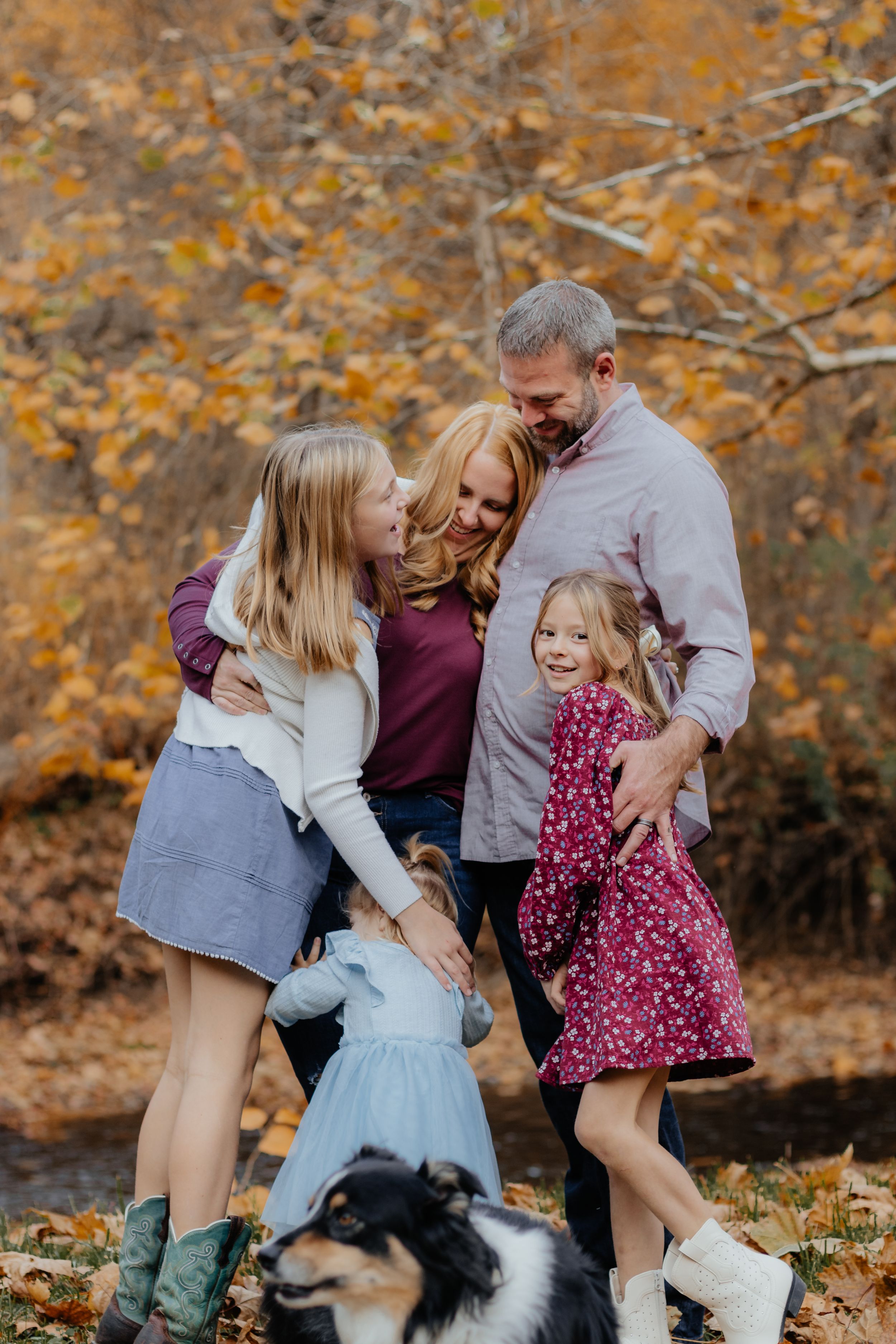 Lively family photo session in autumn woods with border collie and fallen leaves.