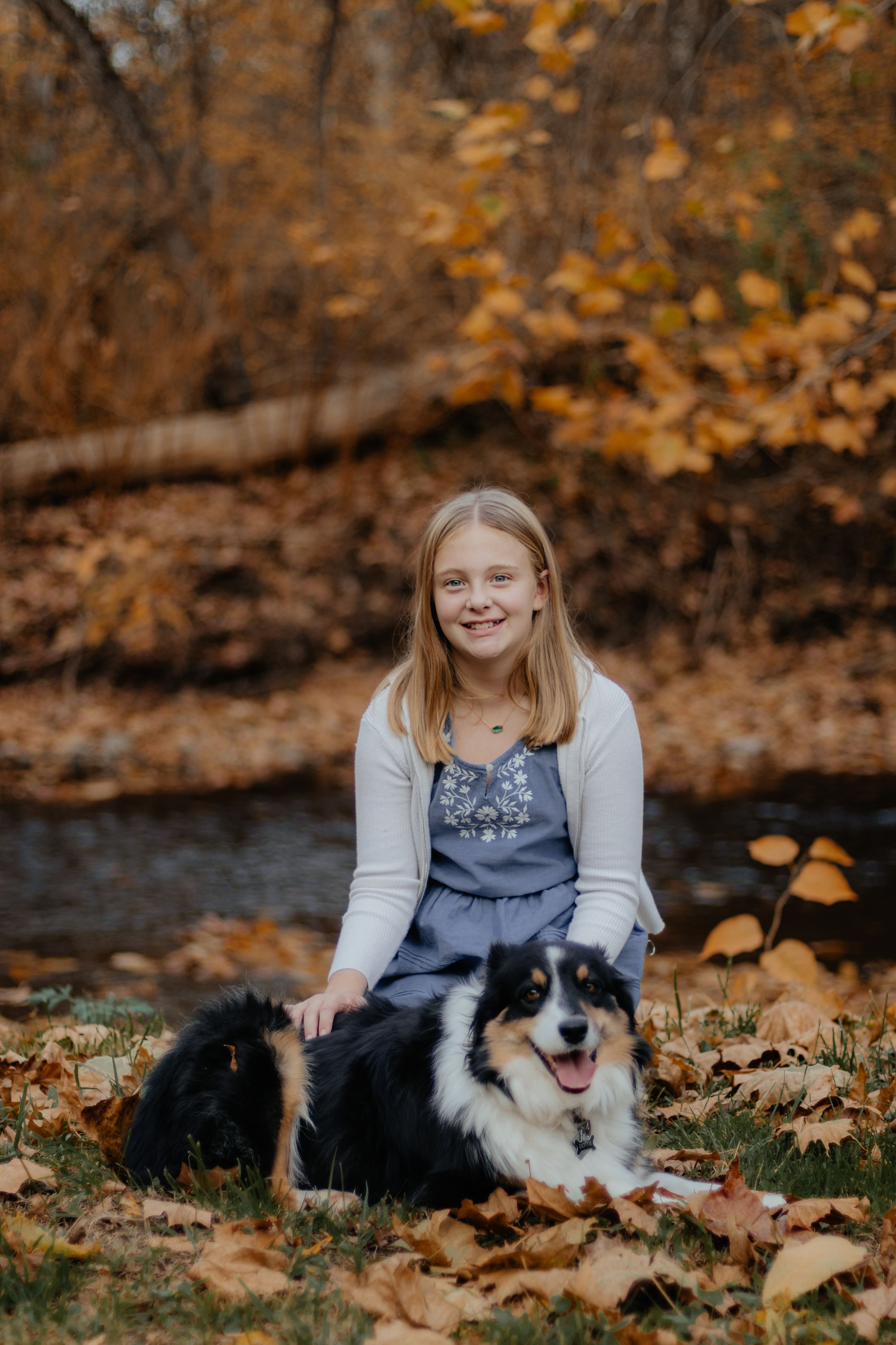 Young person sits with a friendly black and white dog surrounded by golden autumn foliage.