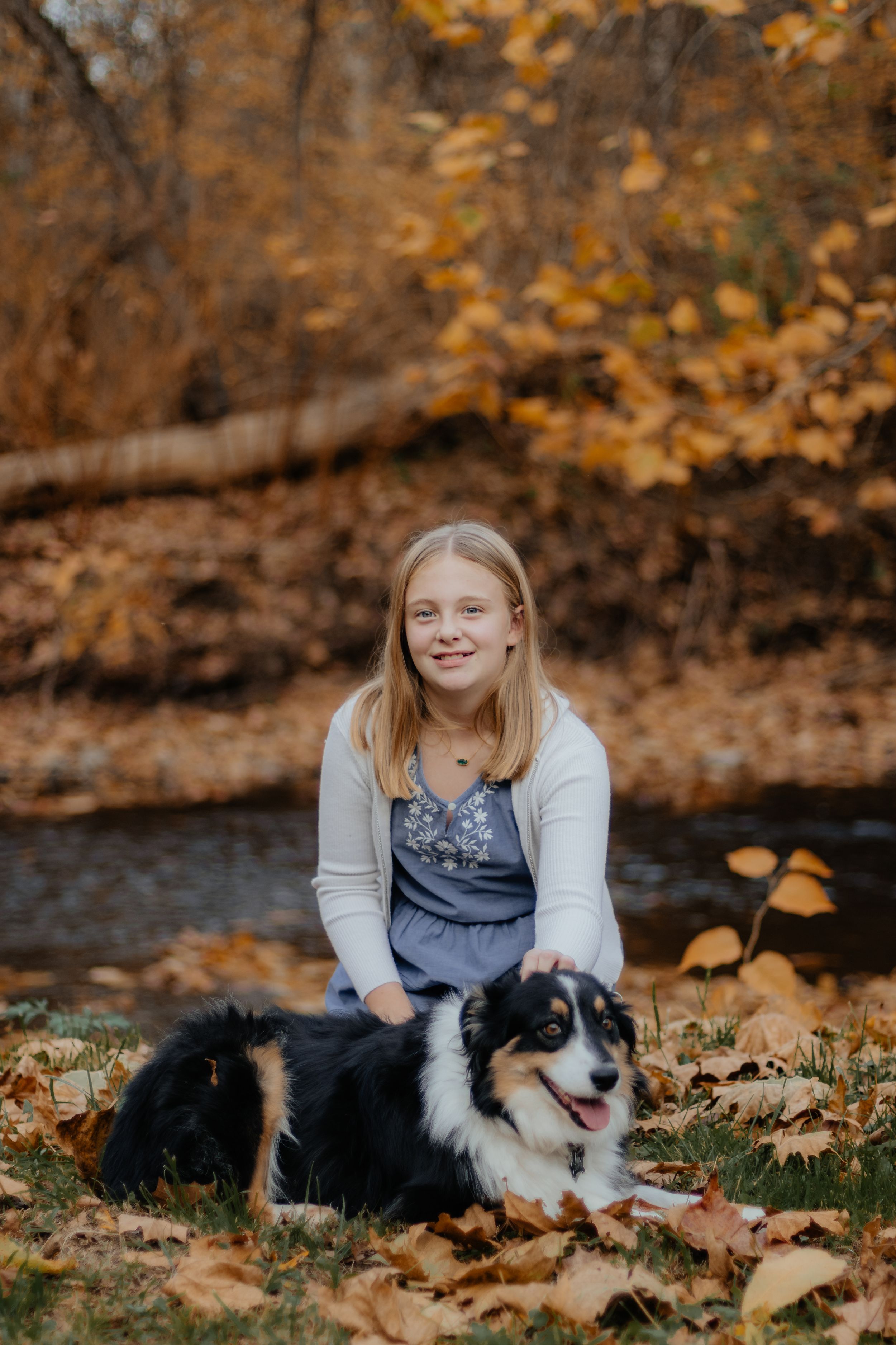 Person relaxes with a black and white border collie dog amid fallen autumn leaves.
