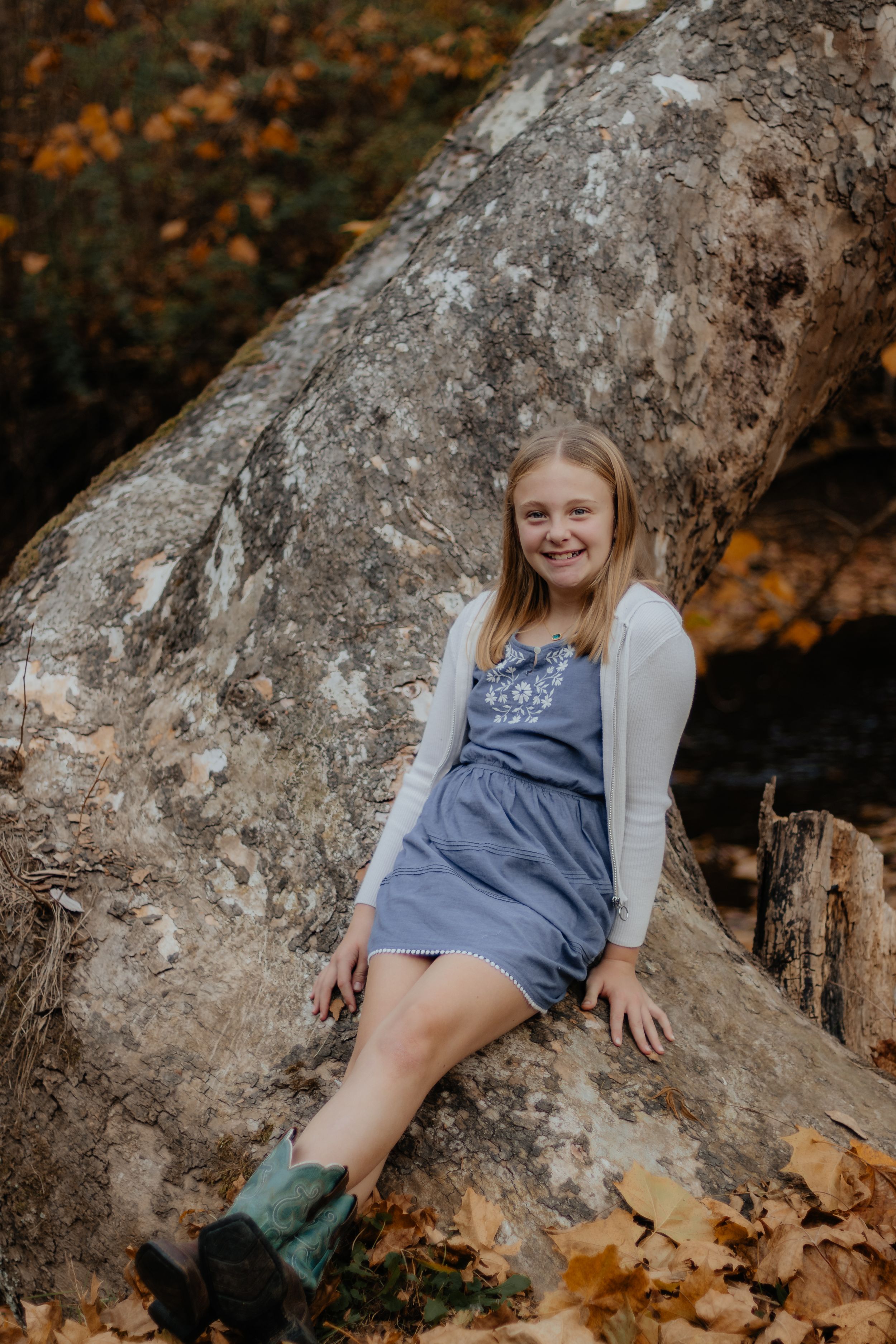 A person in a gray cardigan and blue dress sits on a large tree trunk surrounded by fall leaves.