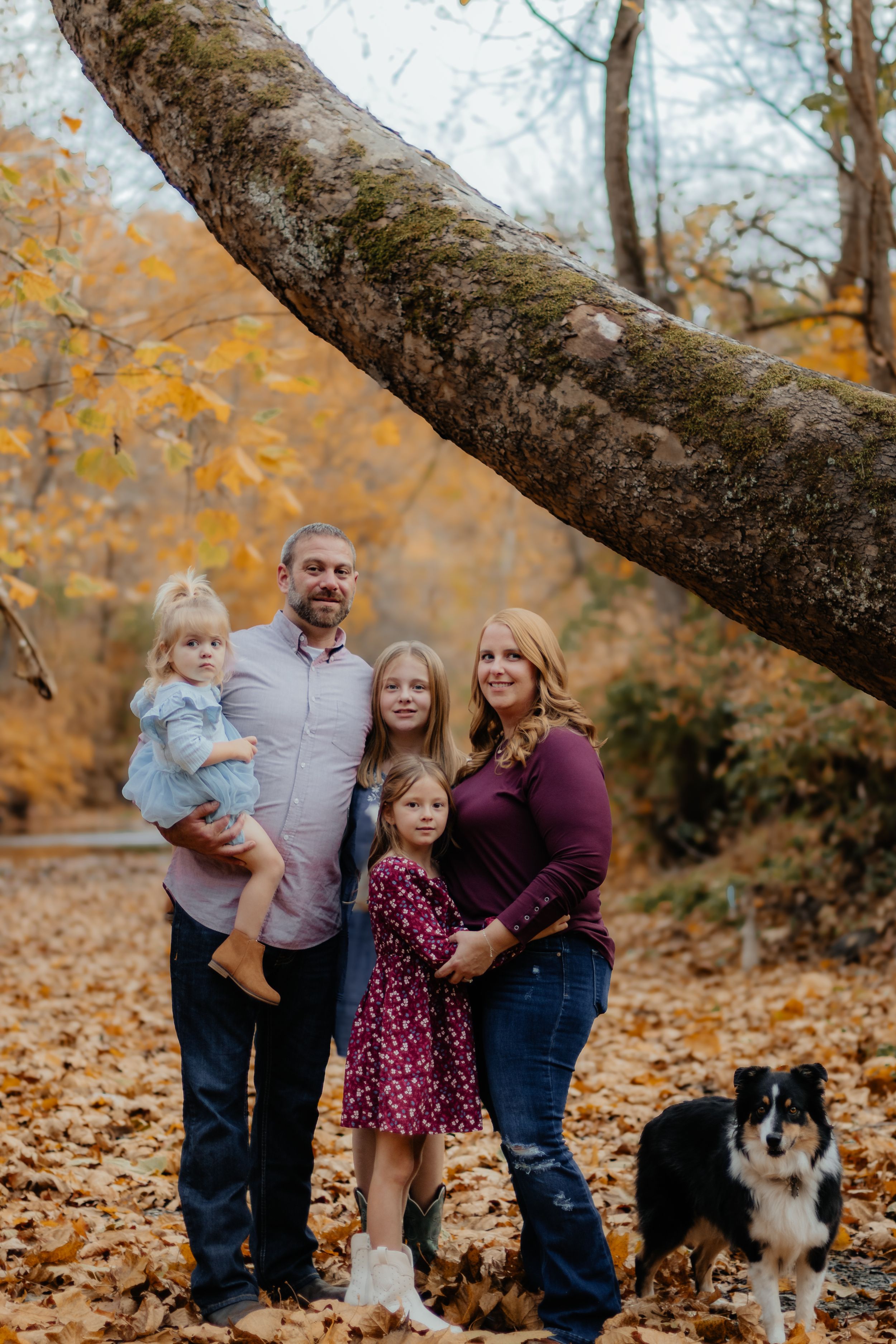 A group poses beneath a curved tree trunk with a dog in an autumn setting.