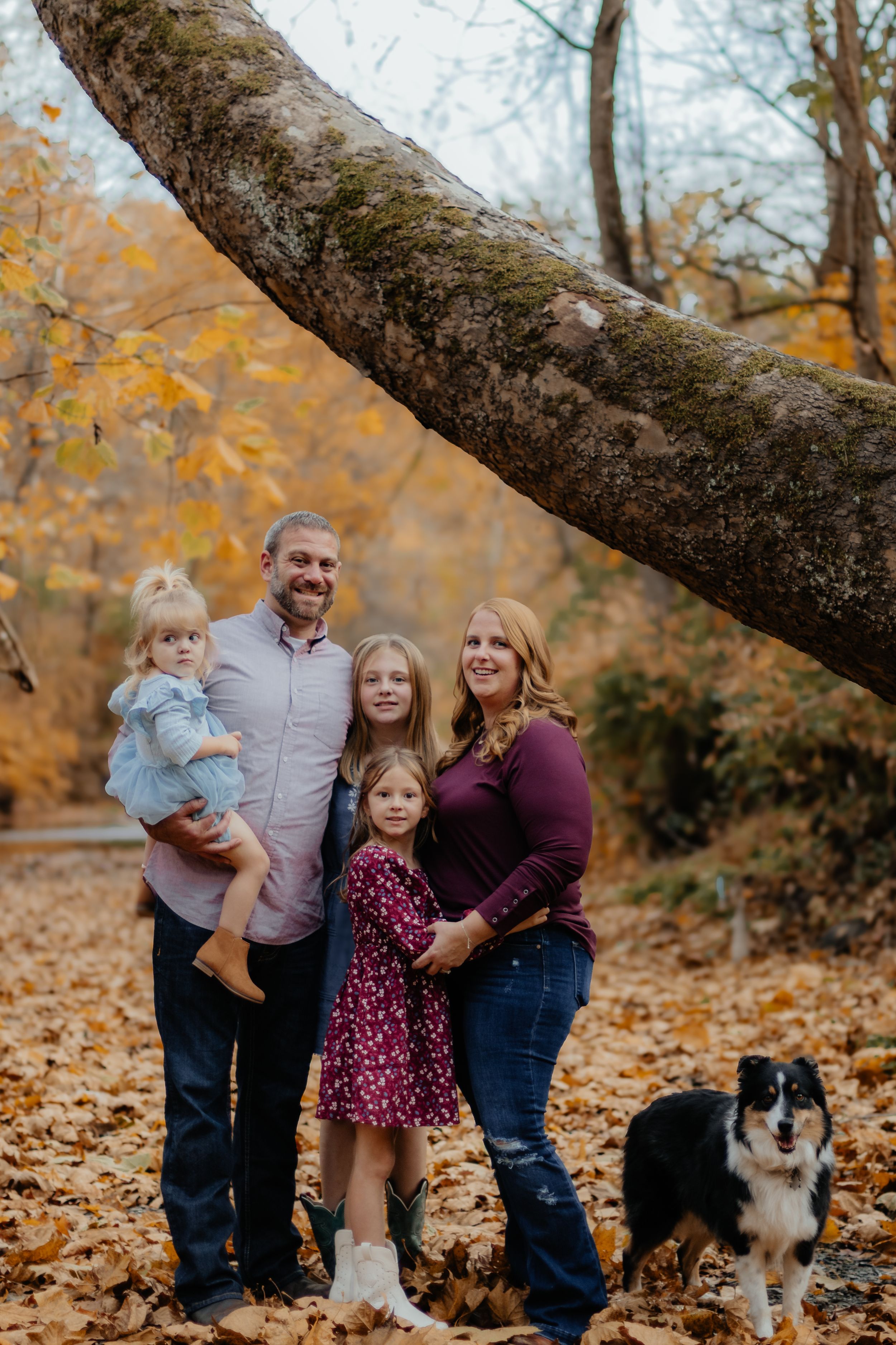 A family portrait under a curved tree trunk with their Border Collie dog in a fall setting.