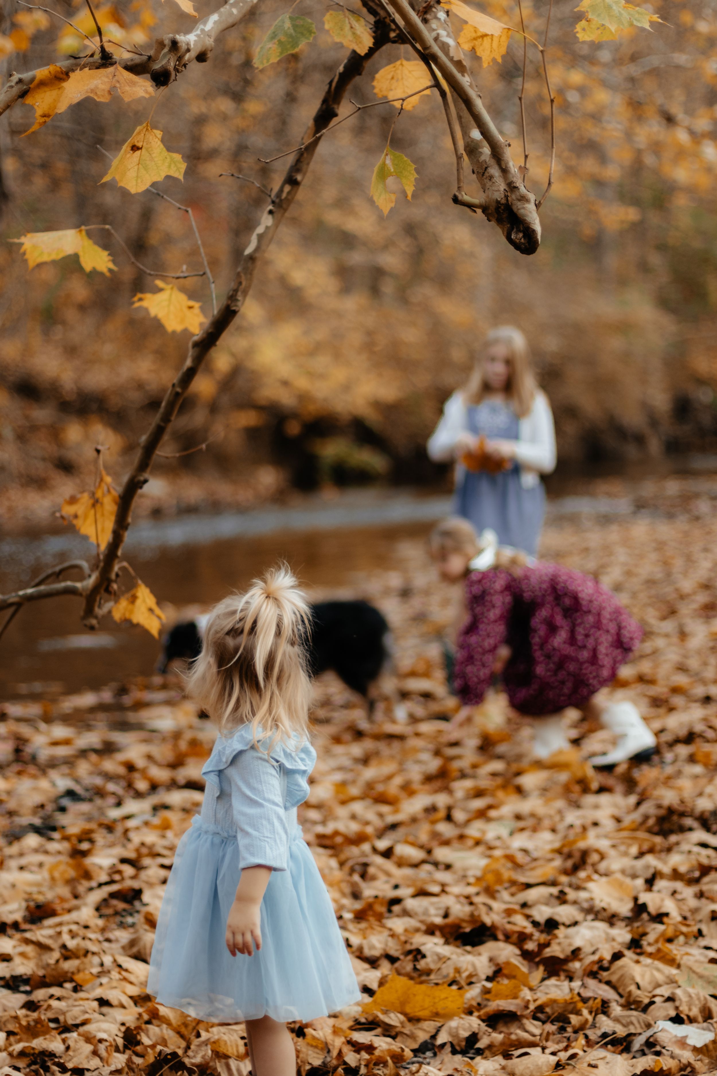 A child in a blue dress explores fallen autumn leaves while others stand in the background.