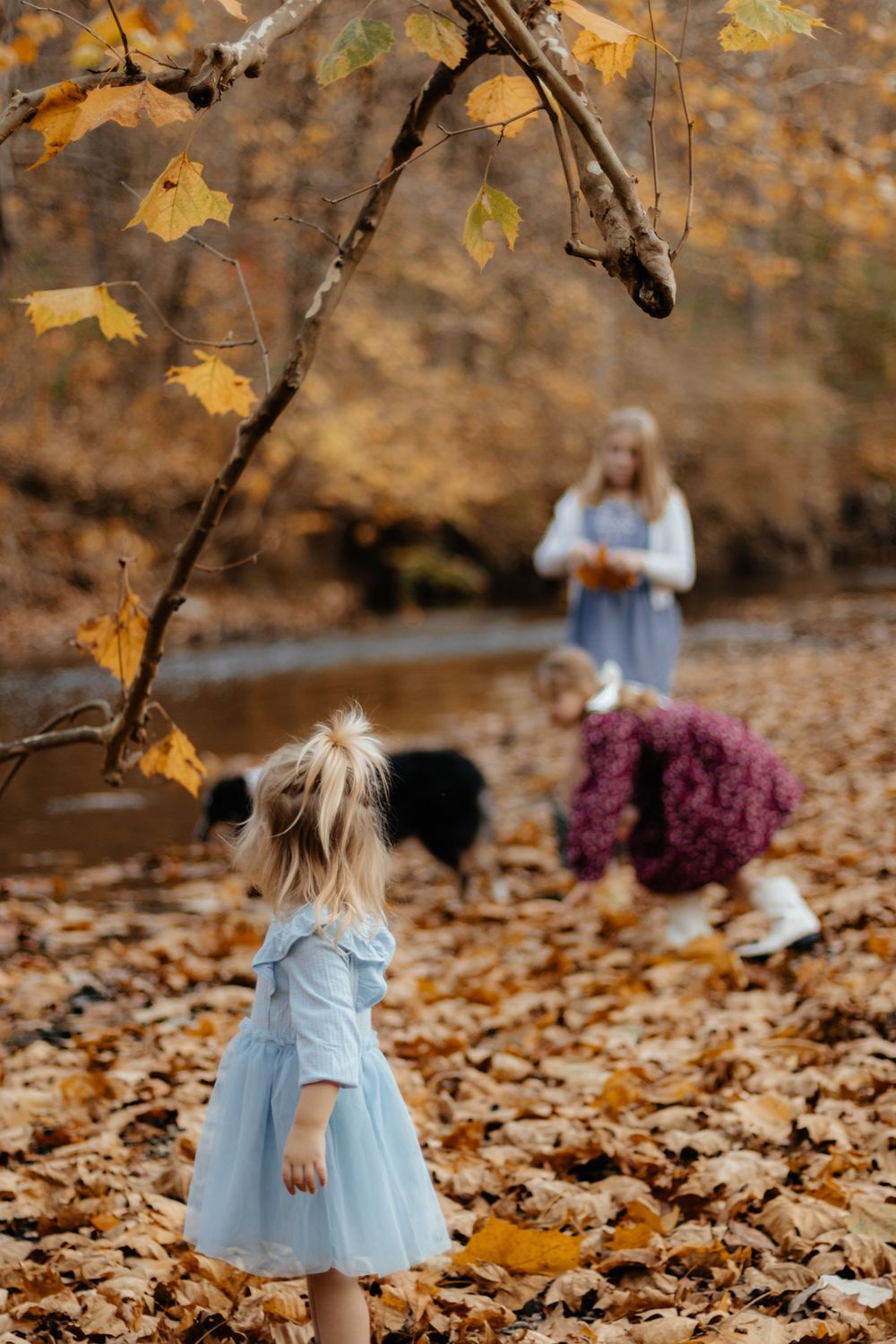 A child in a blue dress explores fallen autumn leaves while others stand in the background.