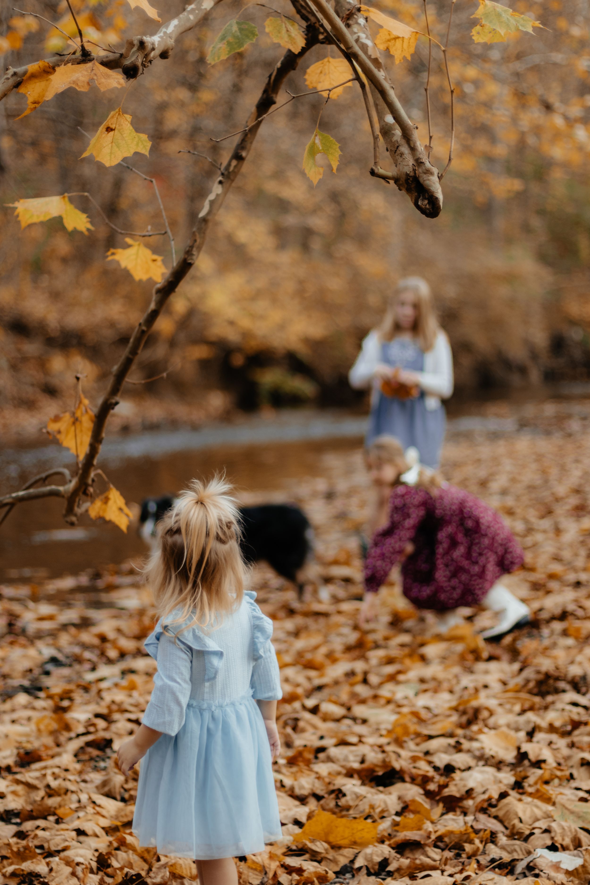 A small child in a blue dress stands among fallen leaves with figures in the background.