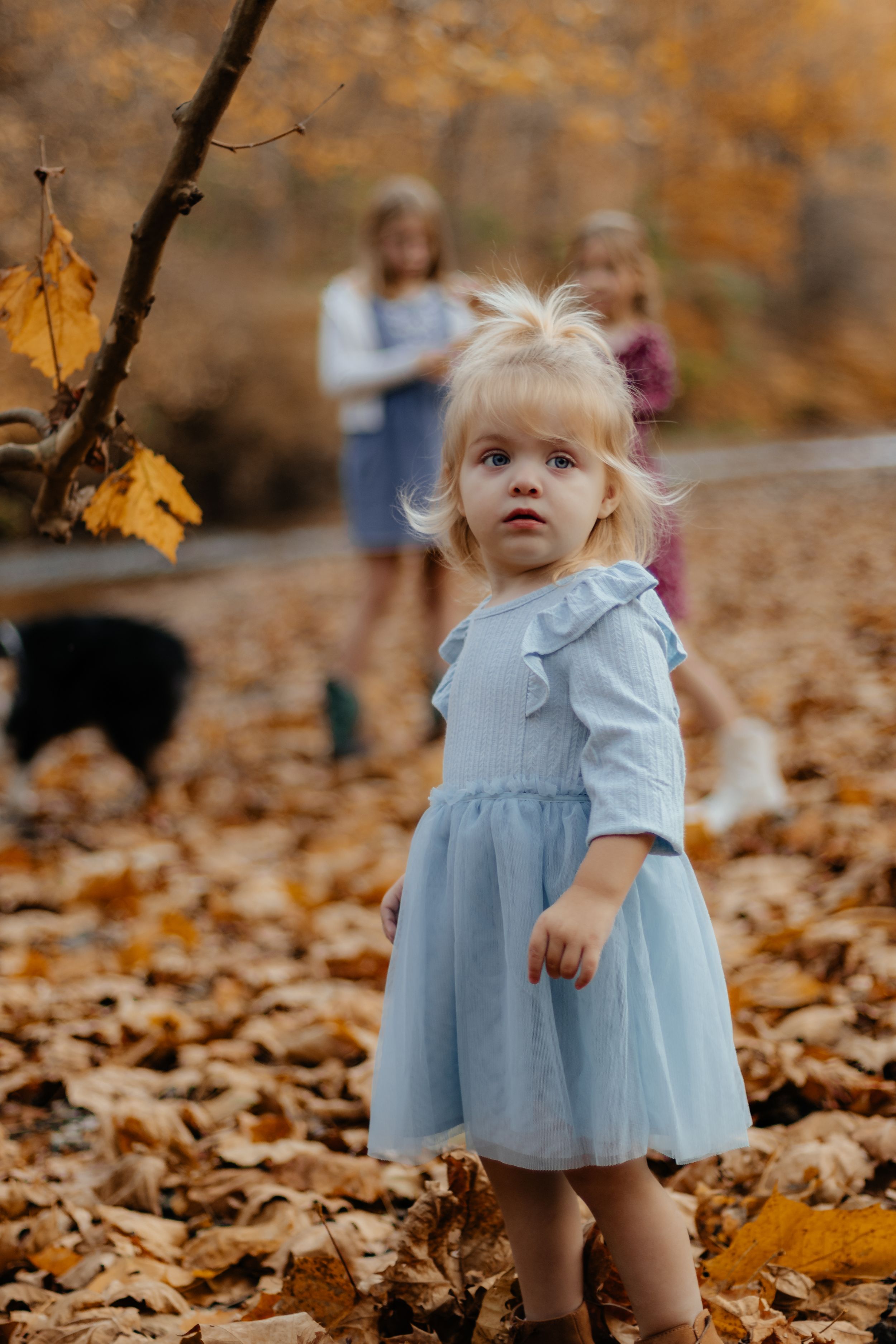 A toddler in a light blue dress explores an autumn forest setting with fallen leaves.