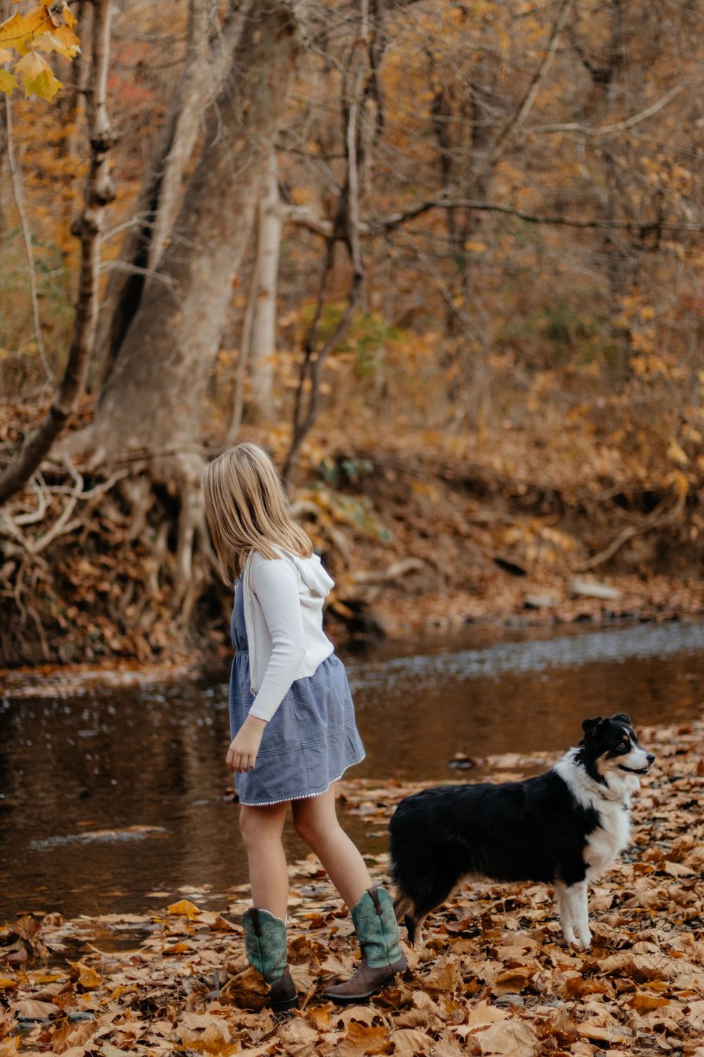 A child in boots and skirt explores near a stream with a Border Collie dog in autumn.