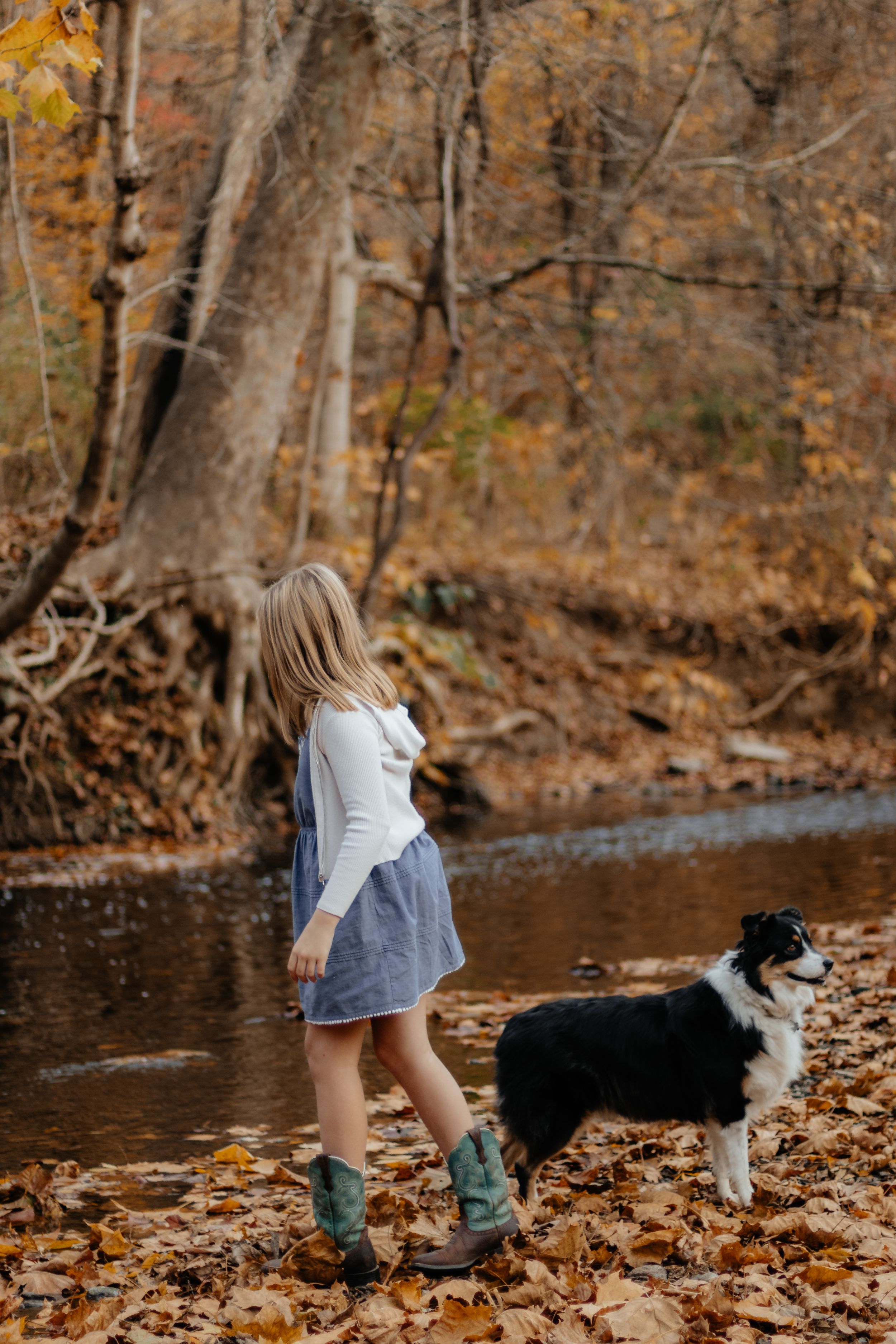 A child in boots and skirt explores near a stream with a Border Collie dog in autumn.
