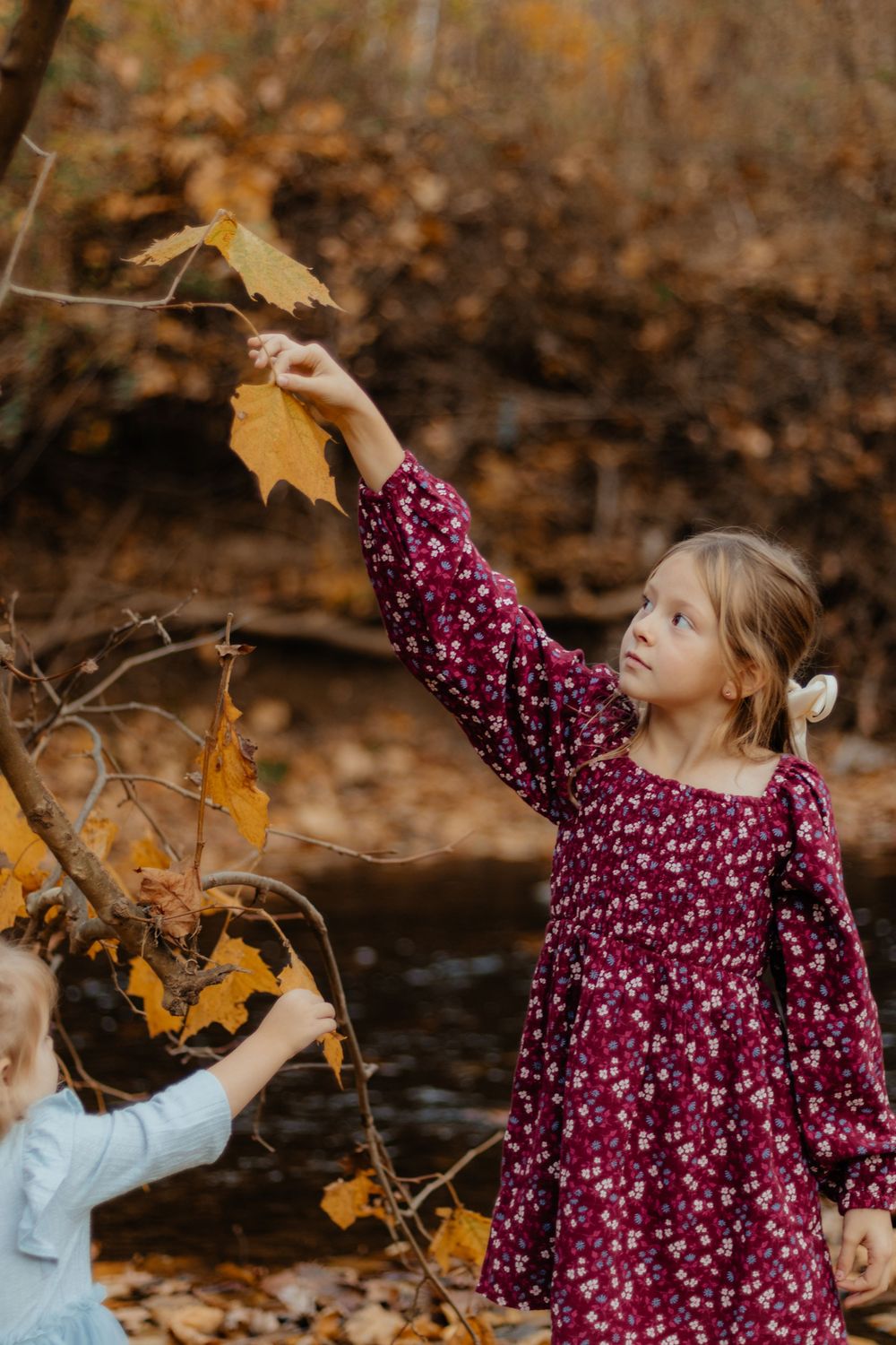 Children reach up to touch yellow autumn leaves on tree branches by a stream.