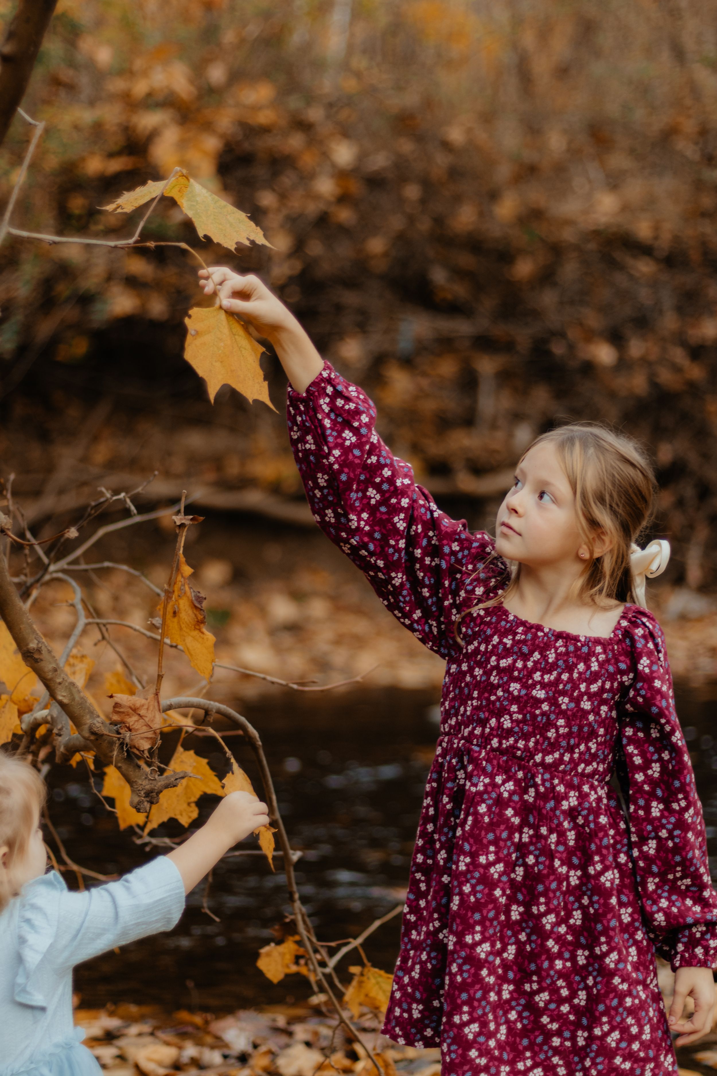 Children reach up to touch yellow autumn leaves on tree branches by a stream.