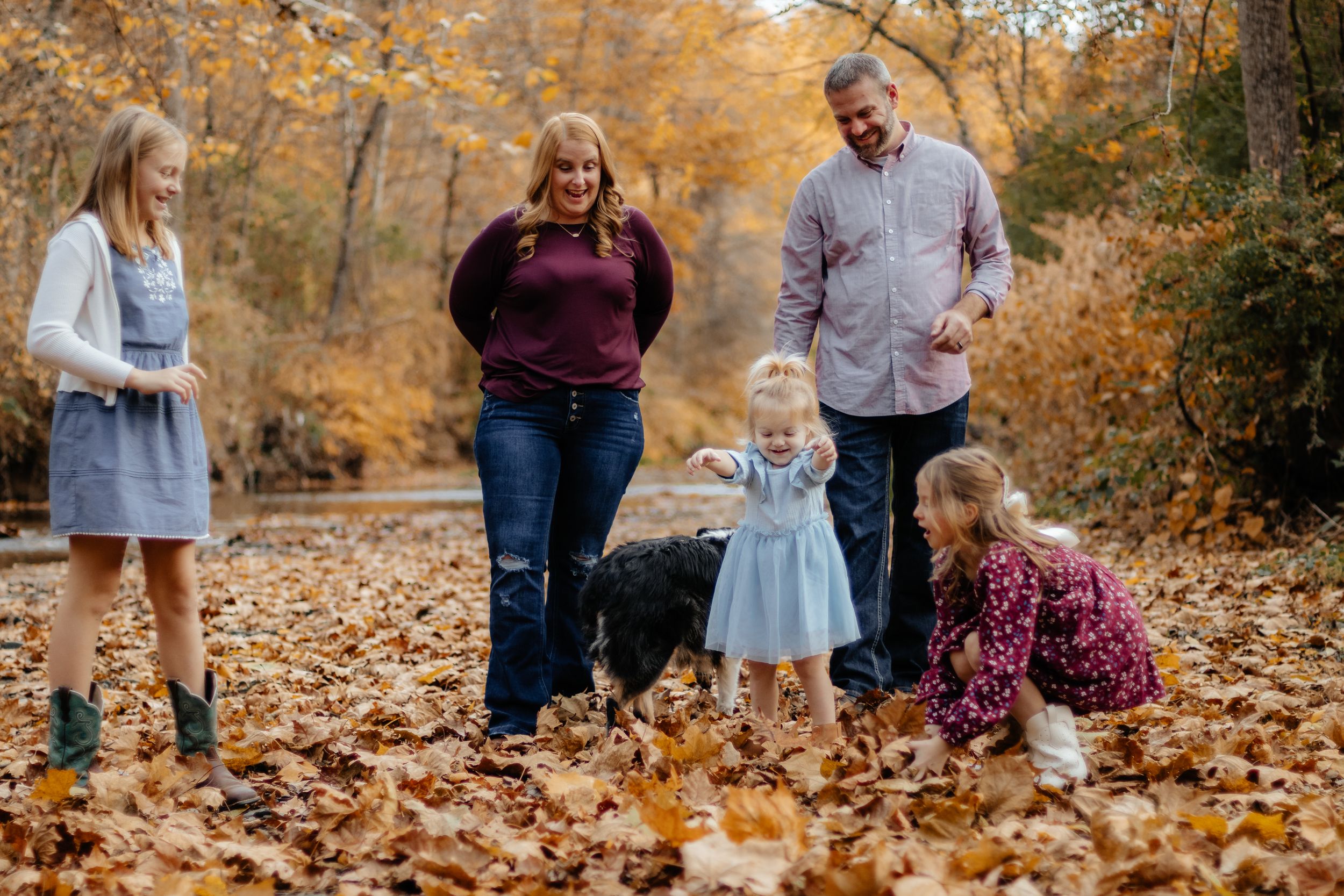 Family enjoying a fall photoshoot together in a forest covered with golden autumn leaves.