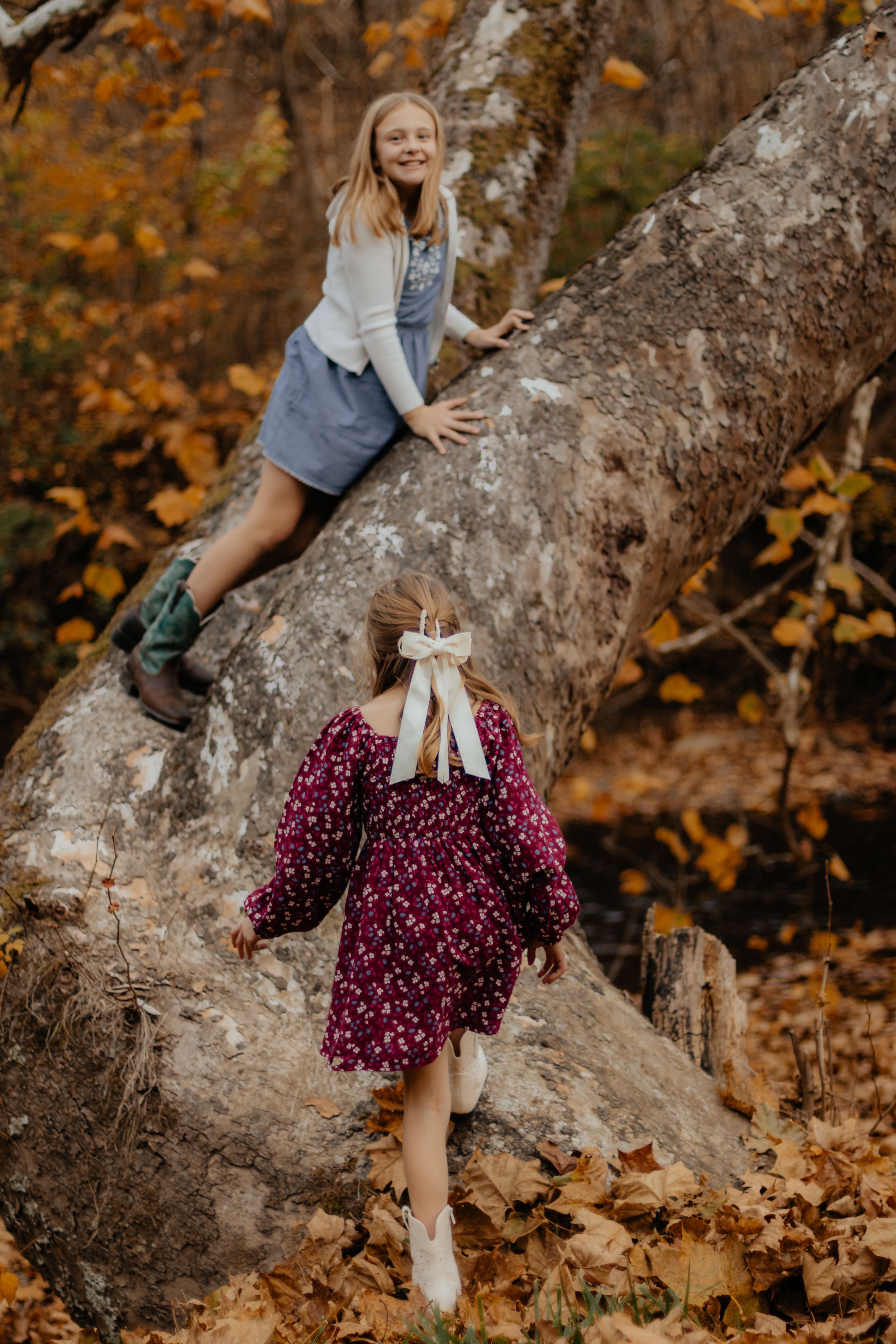 Child playing on a large tree branch during an autumn photo session.