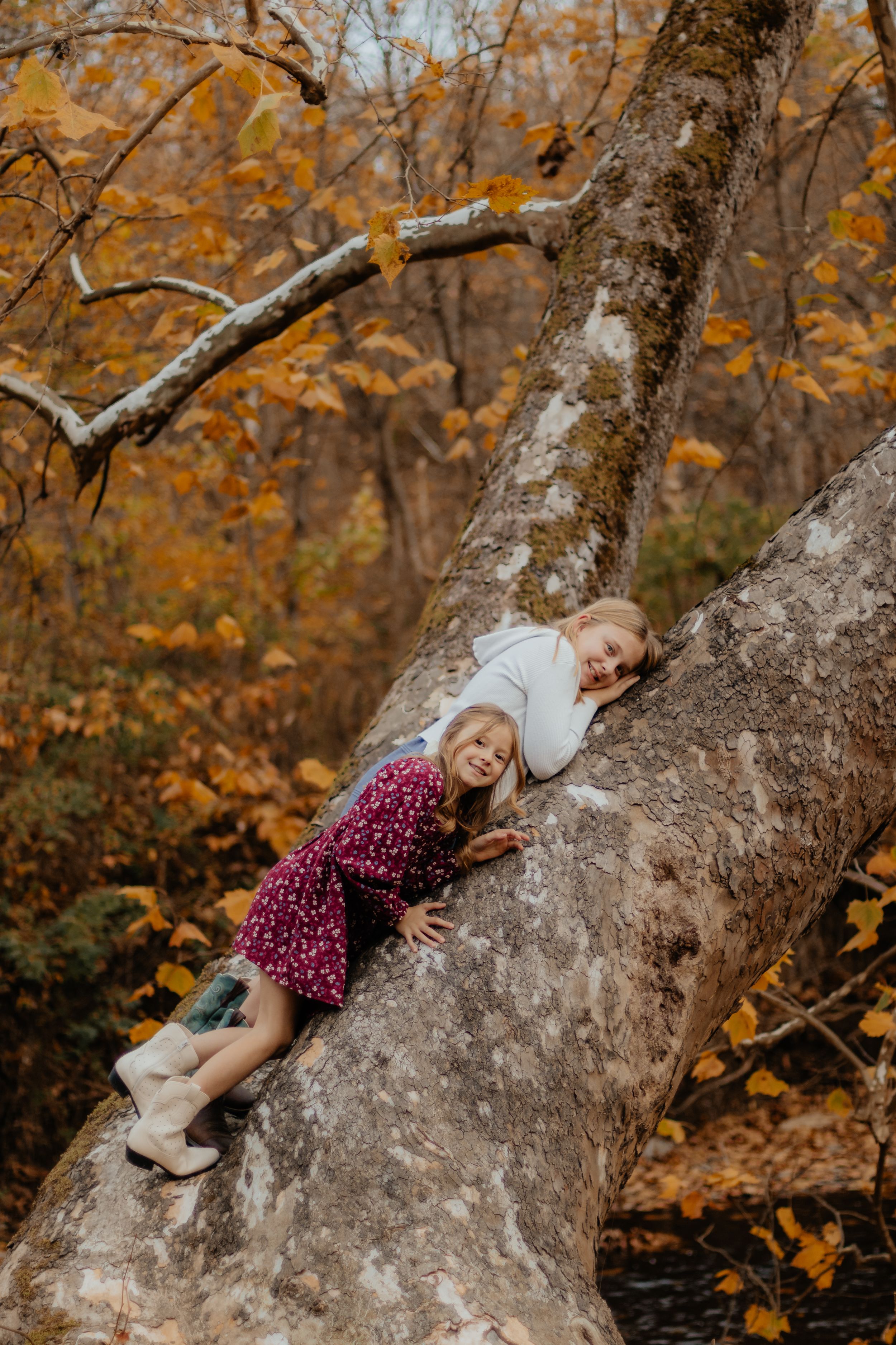 Child laying on a large tree branch during a fall photo session with golden leaves in background.