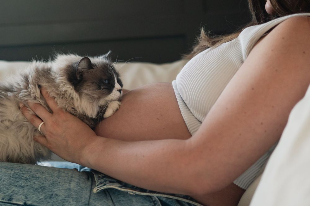 Close-up maternity photos showing pregnant belly on couch.