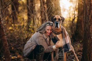 Dog and camera equipment in warm autumn forest setting.