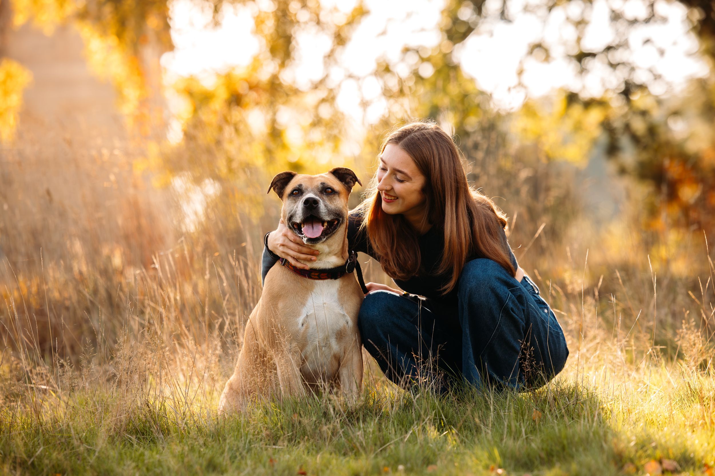 Dogs laying in grass during golden hour photography session.