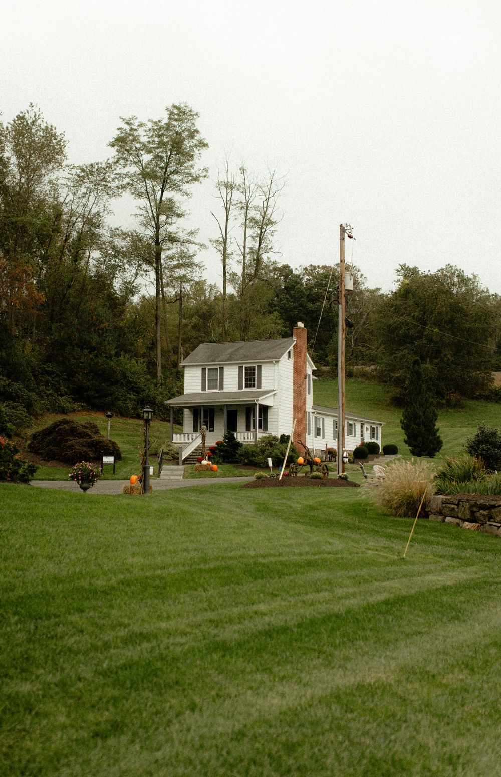 A white farmhouse sits on a sprawling green lawn surrounded by tall trees and utility poles.