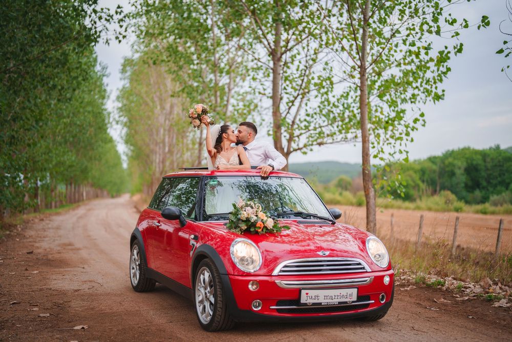 A red Mini Cooper car parked on a tree-lined dirt road during a sunny day.