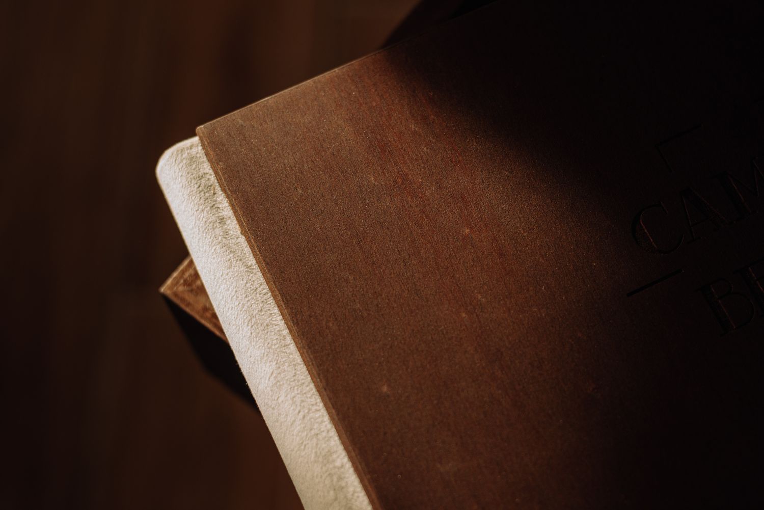 A close-up view of a brown leather book cover in dramatic lighting.