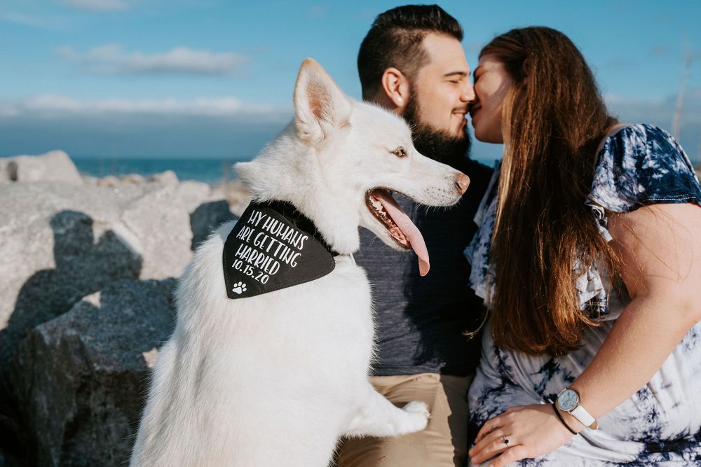 A couple and their white dog enjoy a scenic coastal view together on a sunny day.