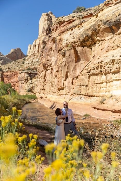 Desert landscape with towering sandstone cliffs and yellow wildflowers blooming in the foreground at Capitol Reef National Park.
