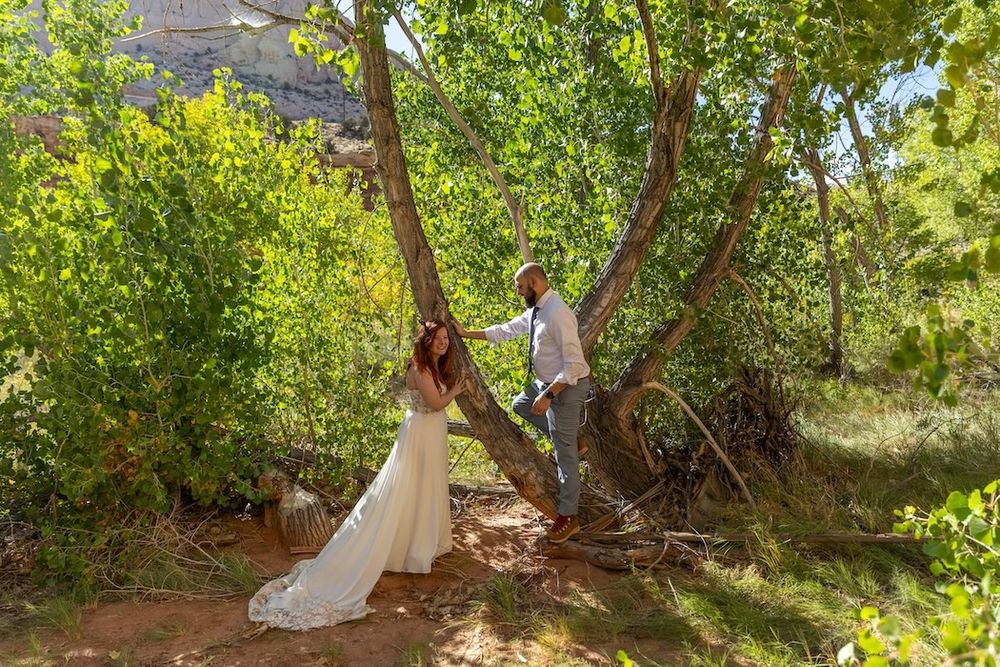 A romantic outdoor wedding scene in a lush garden setting with white decor and natural greenery.