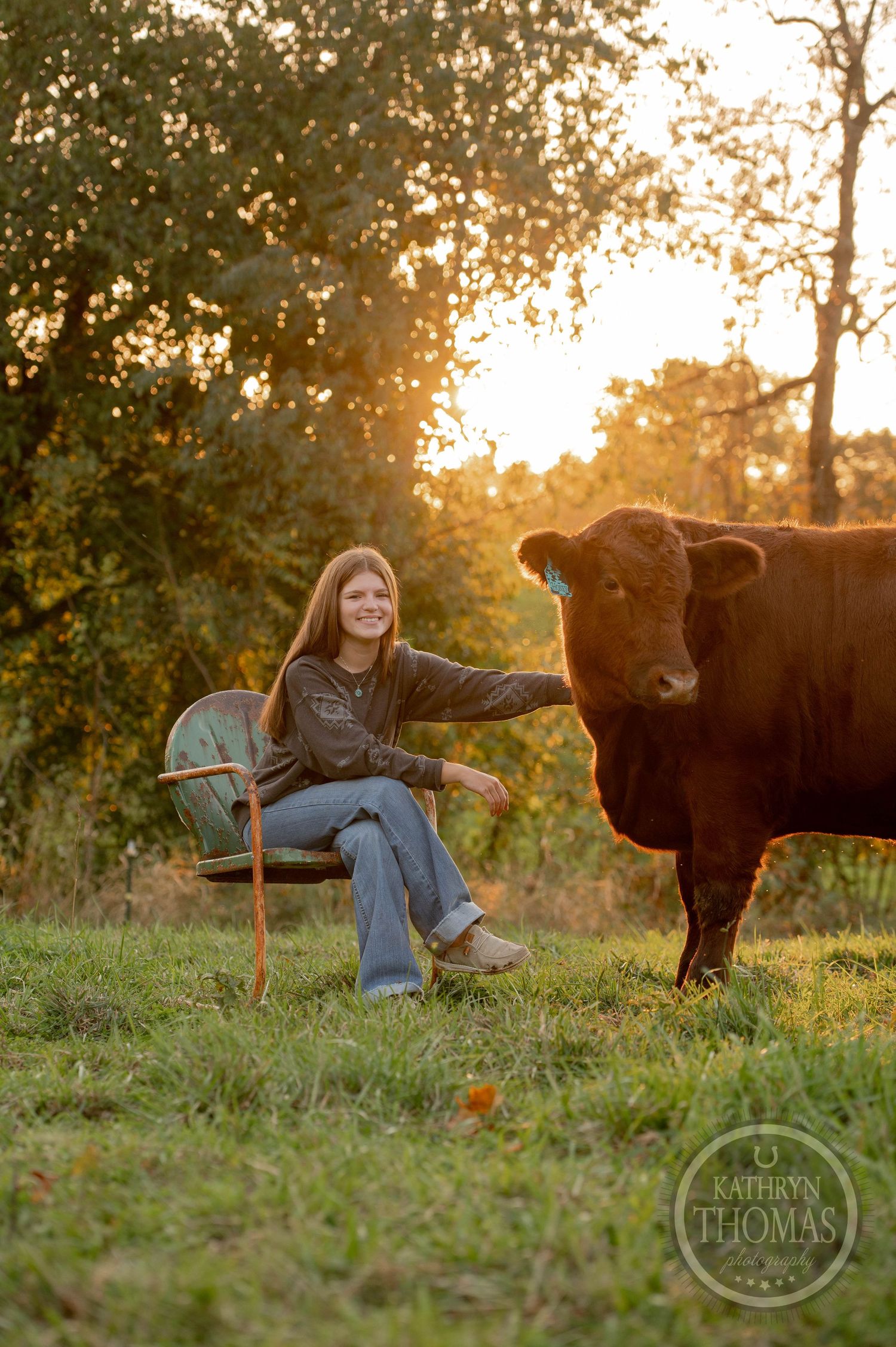 A peaceful sunset portrait with a large brown cow standing beside someone seated in a wooden chair outdoors.