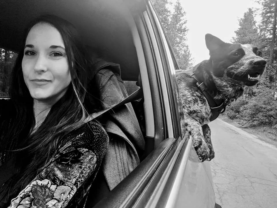 Black and white photo taken from inside a car showing passenger and dog enjoying breeze through window on forest road.