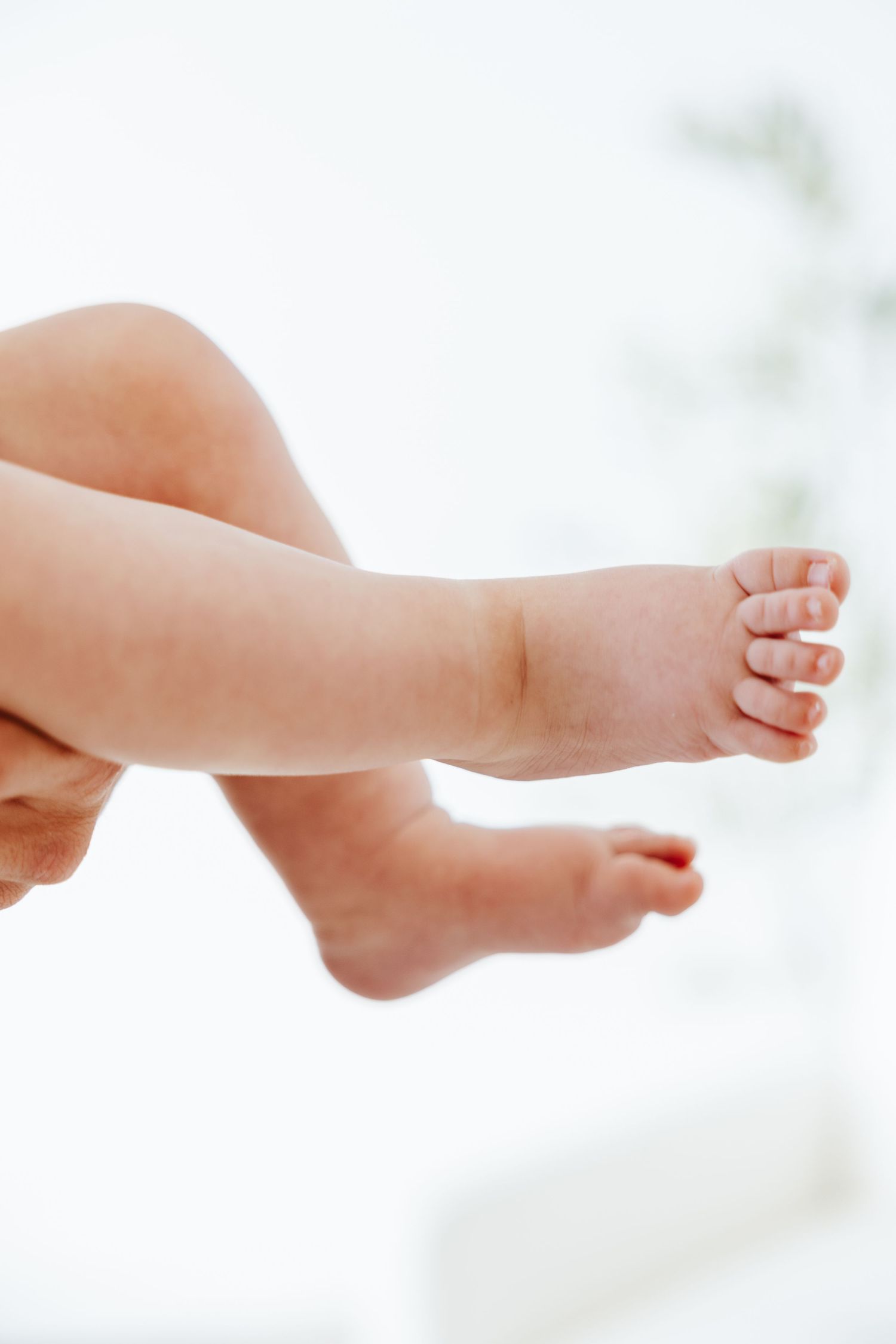 Close-up of tiny baby feet showing chubby bare toes against white background.