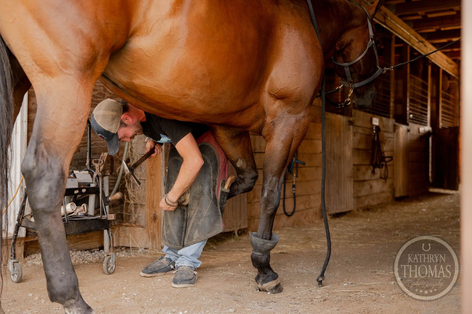 A farrier performs hoof care on a chestnut horse in a barn aisle.