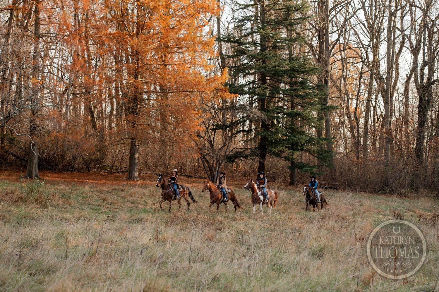 Four riders on horseback trail riding through autumn woods with orange fall foliage.