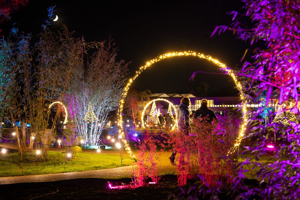 Illuminated garden display features glowing arches and colourful LED lights, creating a magical nighttime scene at Glow, RHS Bridgewater.