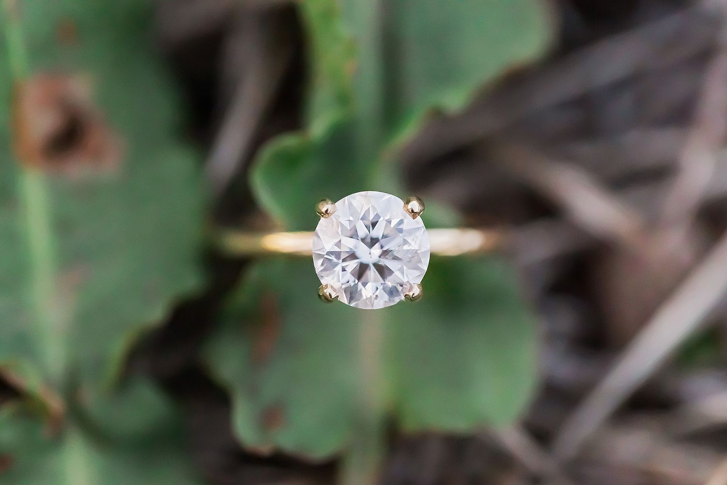 A sparkling round solitaire diamond engagement ring displayed against blurred green foliage background.