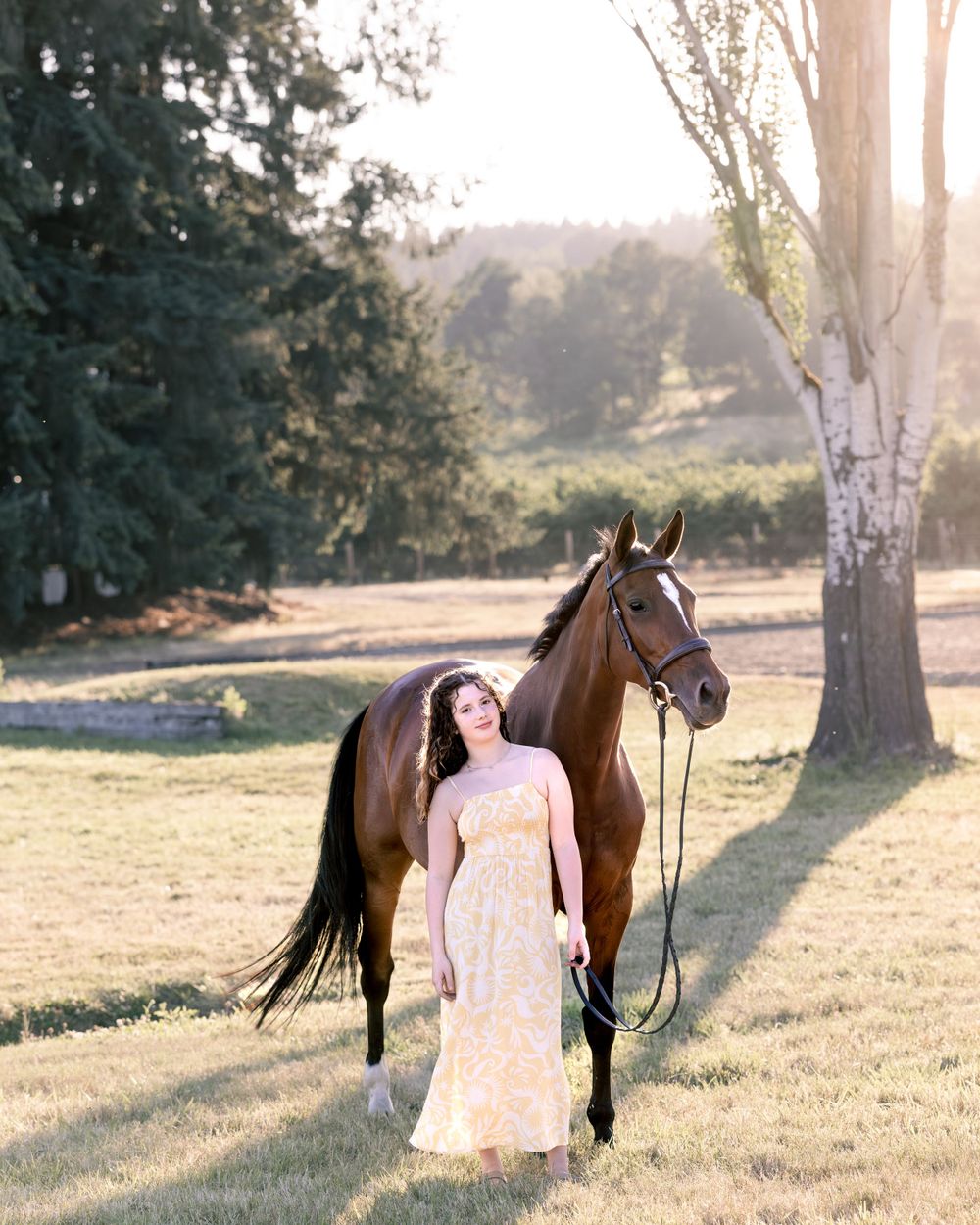 Outdoor horse and rider portrait during summer photoshoot in Wilsonville, Oregon Copyright Amanda Barr Photography