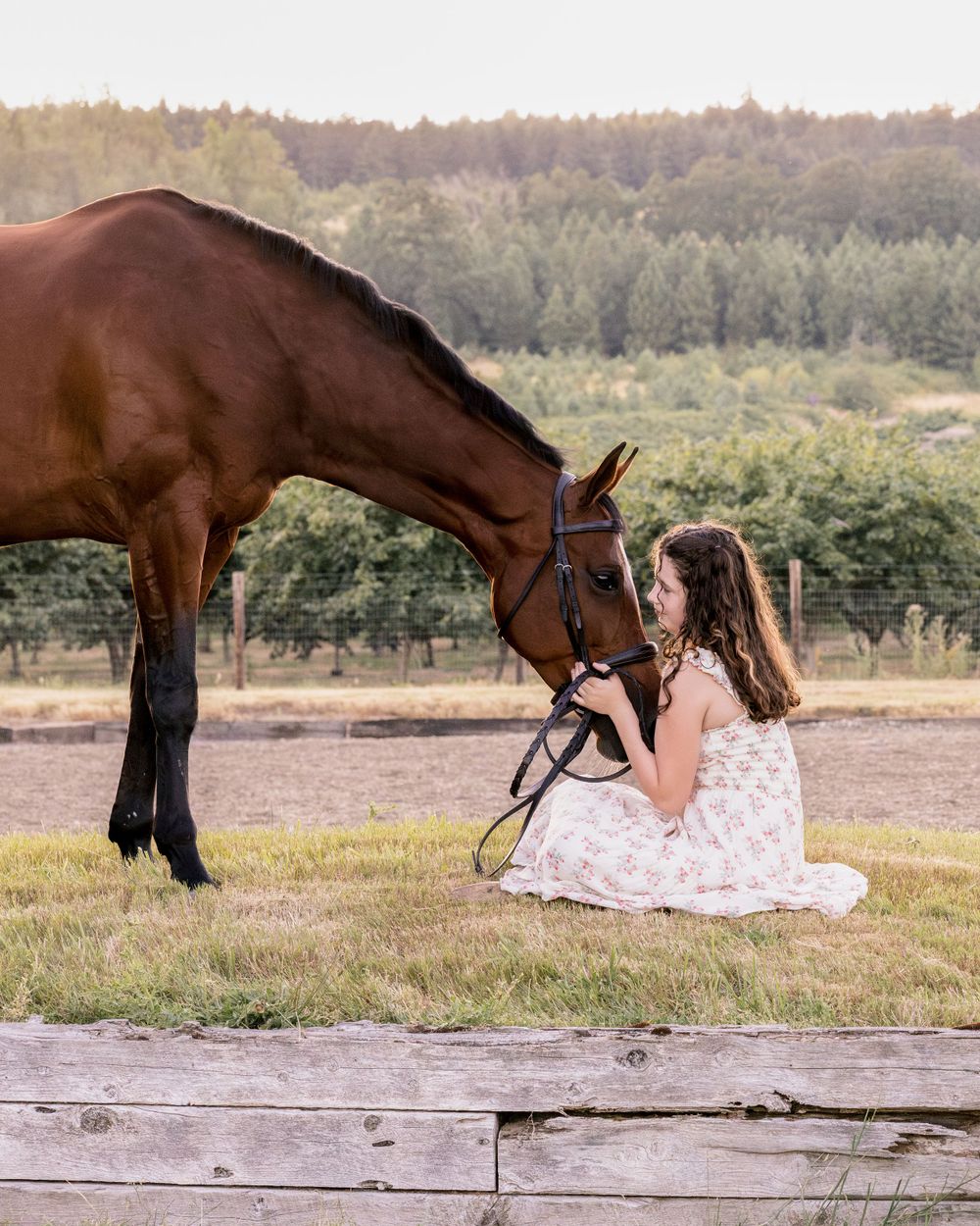 Outdoor horse and rider portrait taken during summer photoshoot in Wilsonville, Oregon Copyright Amanda Barr Photography
