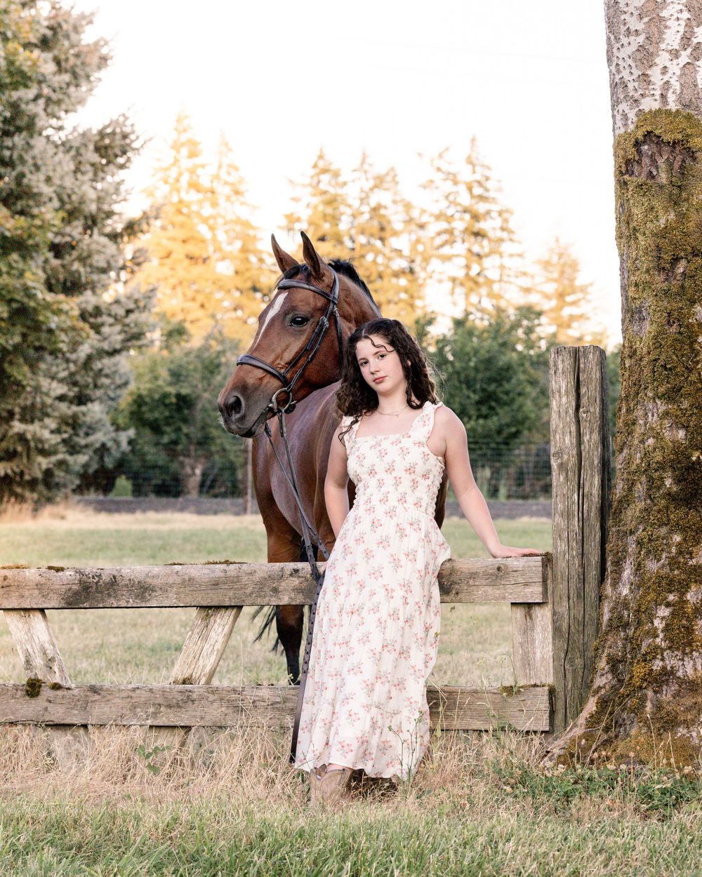Outdoor horse and rider portrait during summer photoshoot in Wilsonville, Oregon Copyright Amanda Barr Photography