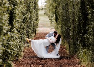 Groom dipping bride in a romantic kiss along a lush green hedge-lined garden pathway.