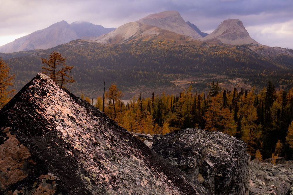 Mountain range in Assiniboine National Park, Alberta, BC, Canada