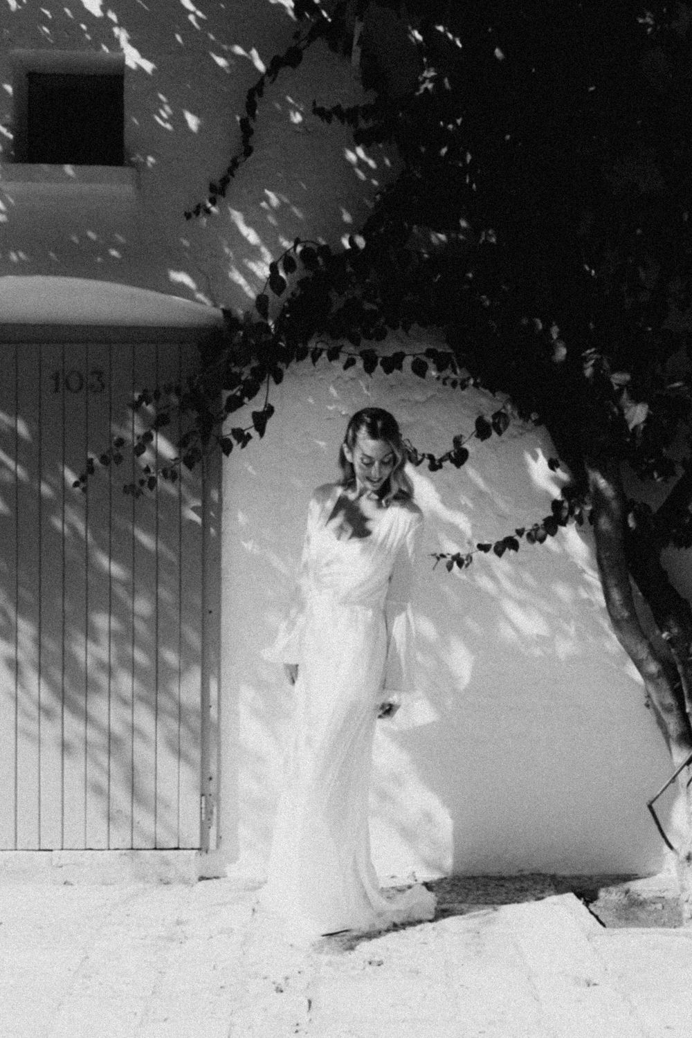Black and white abstract photograph showing shadows and foliage against a white wall with window shutters.