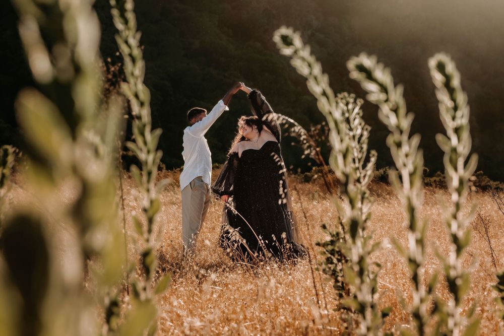 Golden sunlight illuminates tall dried grass stems in a dreamy meadow setting.