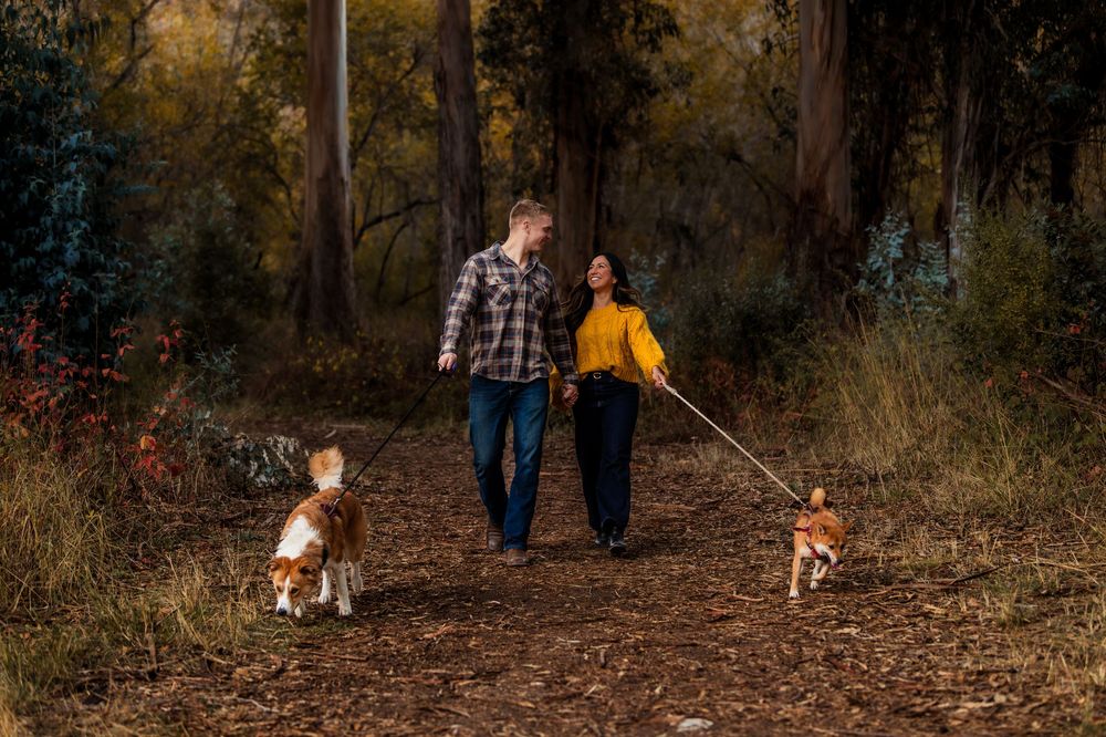 Families walking together on a nature trail during autumn with fallen leaves.