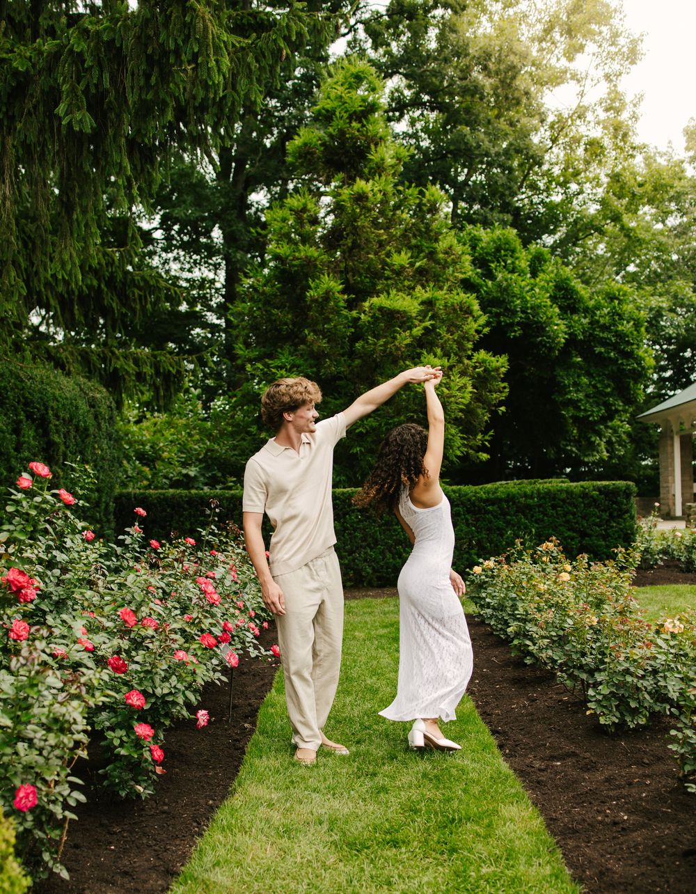 A couple dances playfully in a garden with blooming red roses and green shrubs.