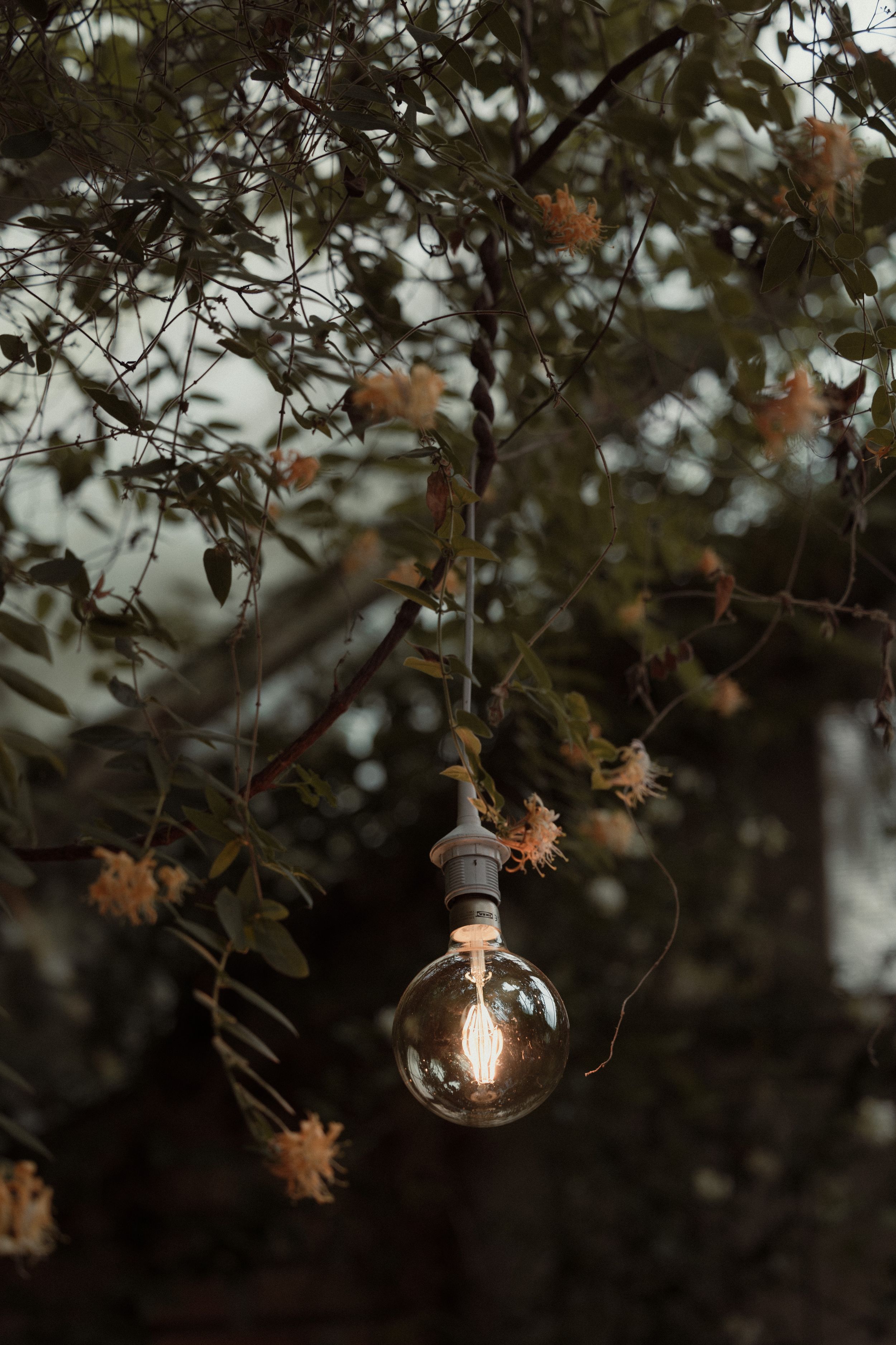 A glowing light bulb hangs from autumn tree branches with brown leaves in a moody, atmospheric setting.