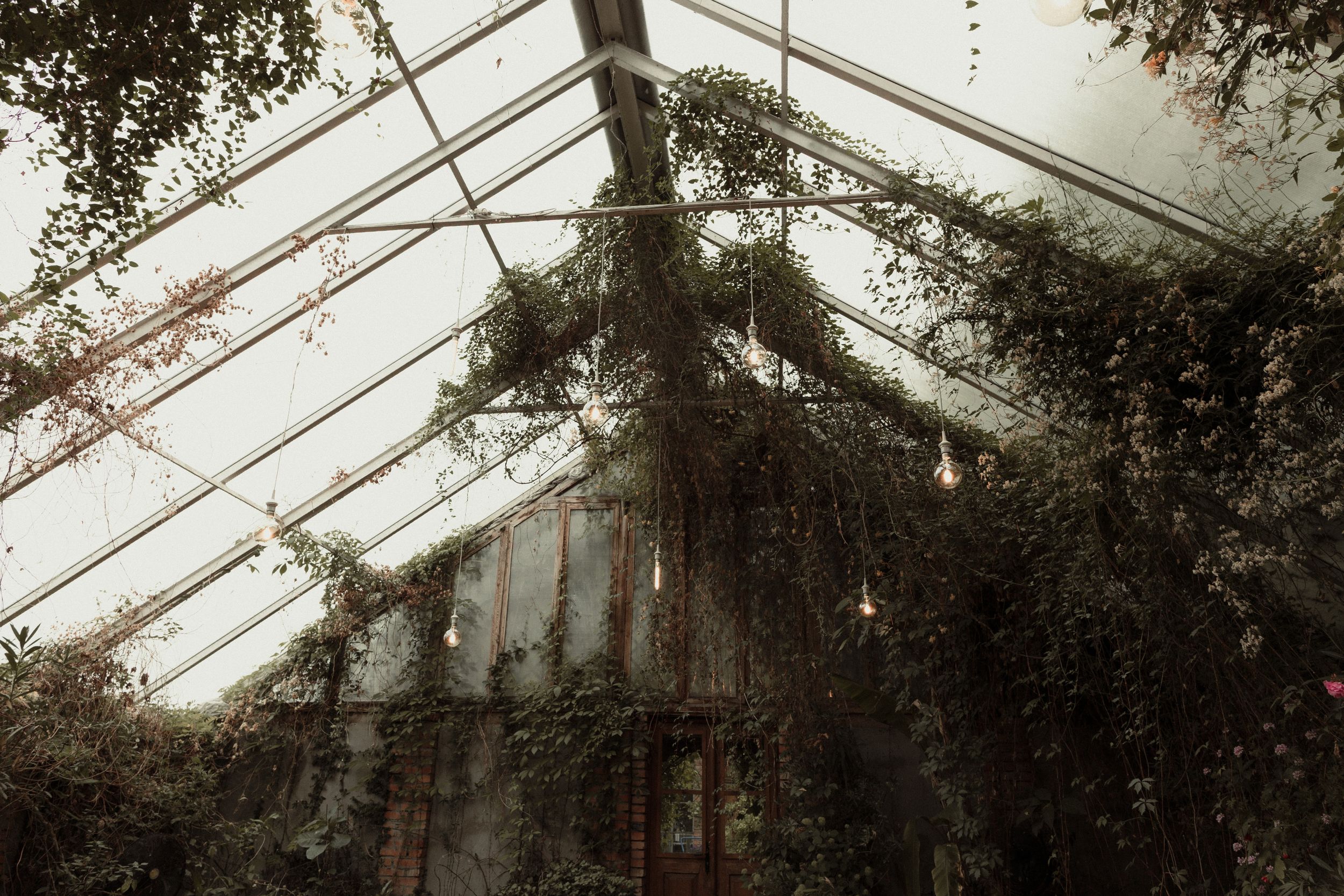 An abandoned greenhouse with overgrown plants and vines against a moody sky, creating an eerie atmosphere.