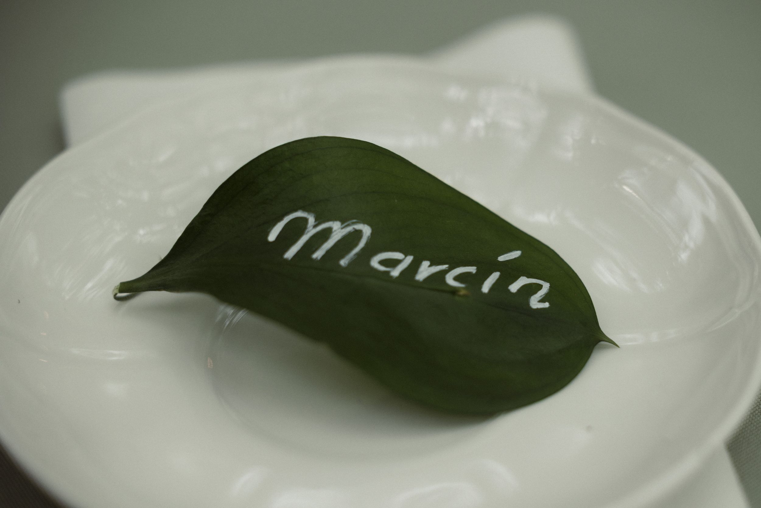 Green leaves labeled with silver writing are arranged on clean white plates for a sophisticated presentation.
