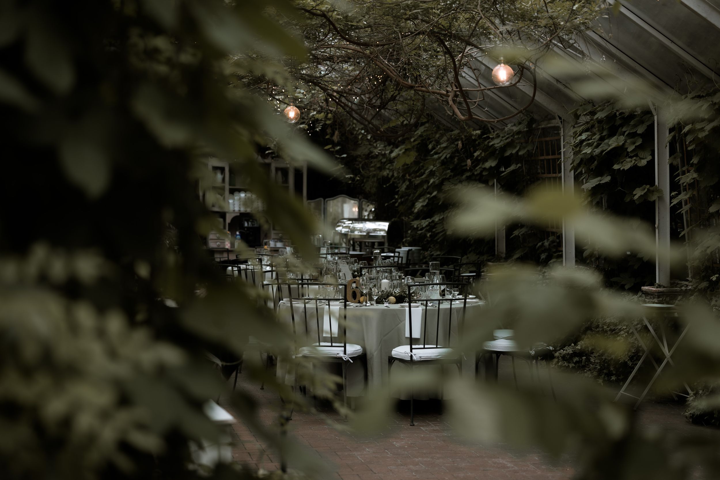 Romantic evening outdoor restaurant patio with dim lighting and tables visible through lush greenery.