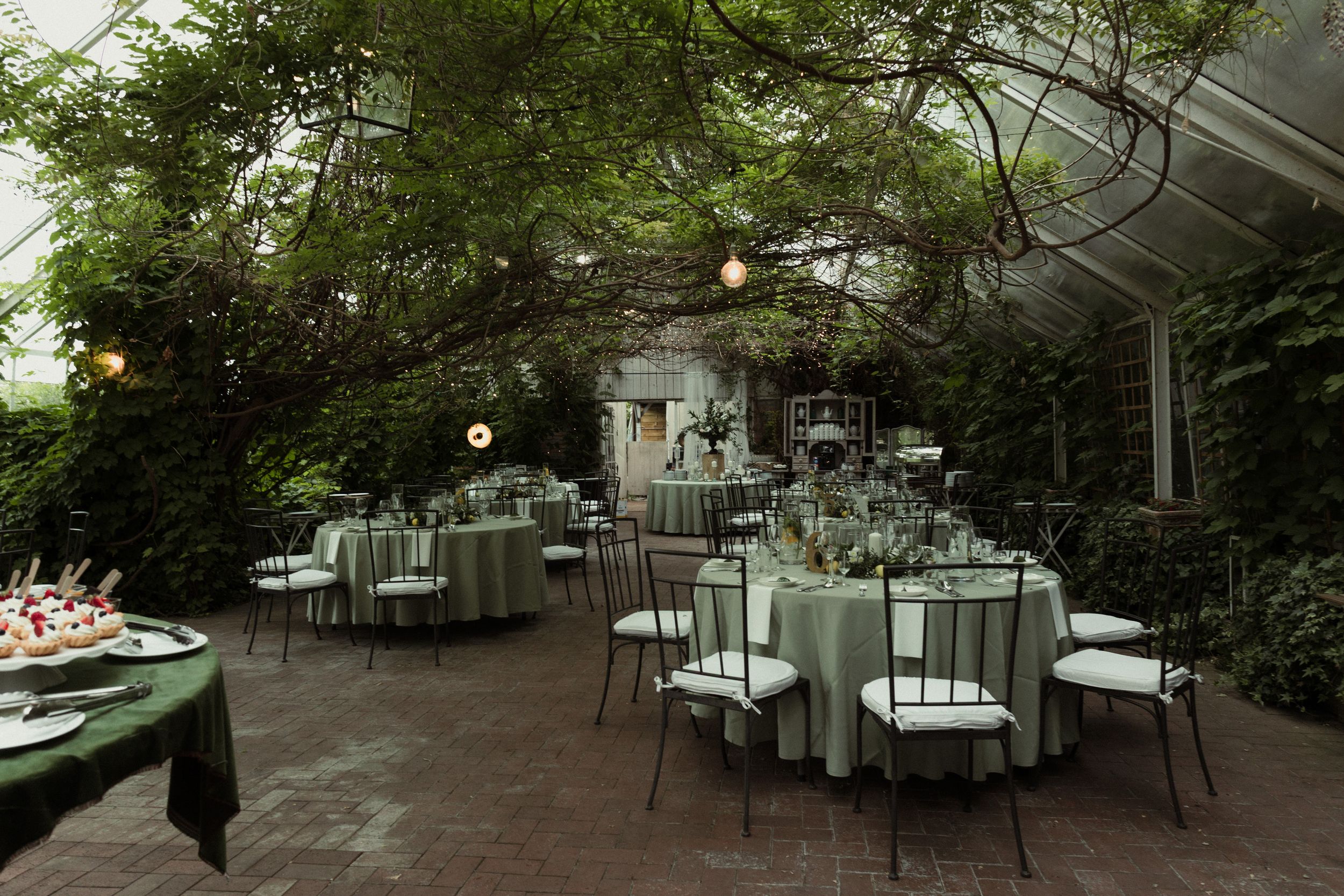 Elegant outdoor patio seating area under trees with white tables and chairs arranged for dining or events.