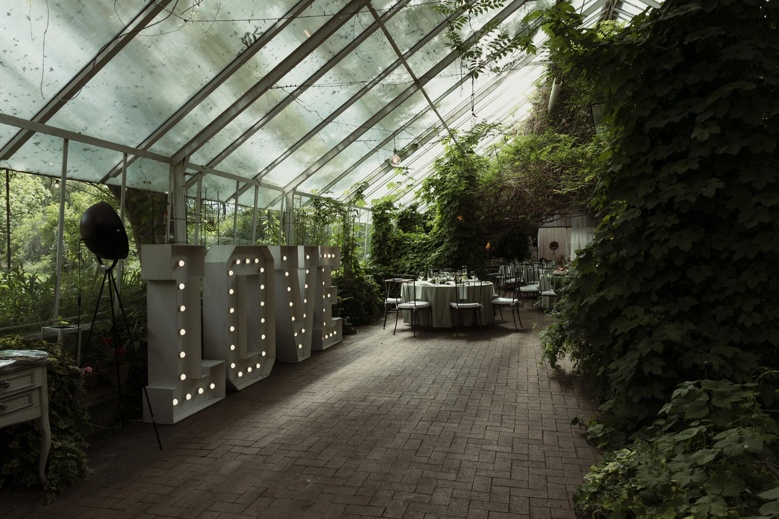 Interior view of an abandoned glass greenhouse with plants growing wild and brick walkway through dilapidated structure.