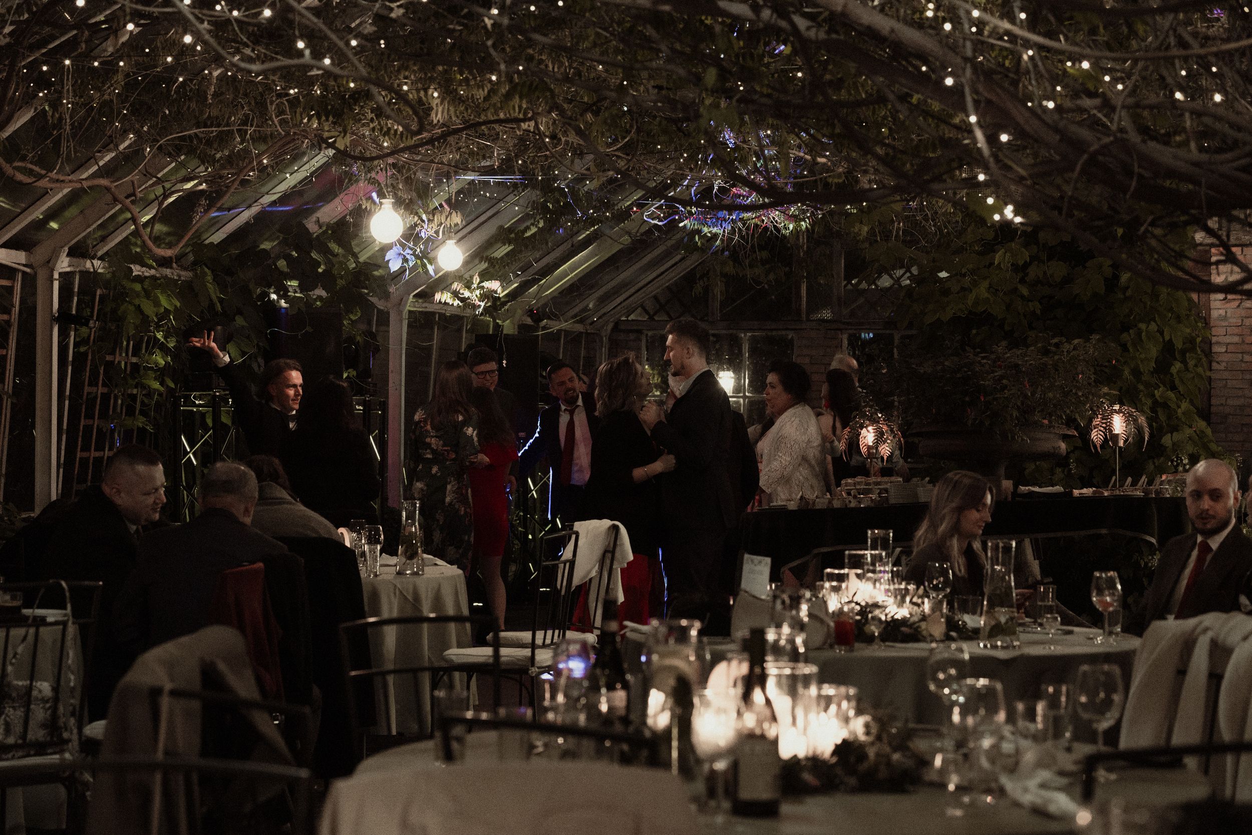 A row of illuminated lanterns hangs among tree branches at night in an urban outdoor walkway.