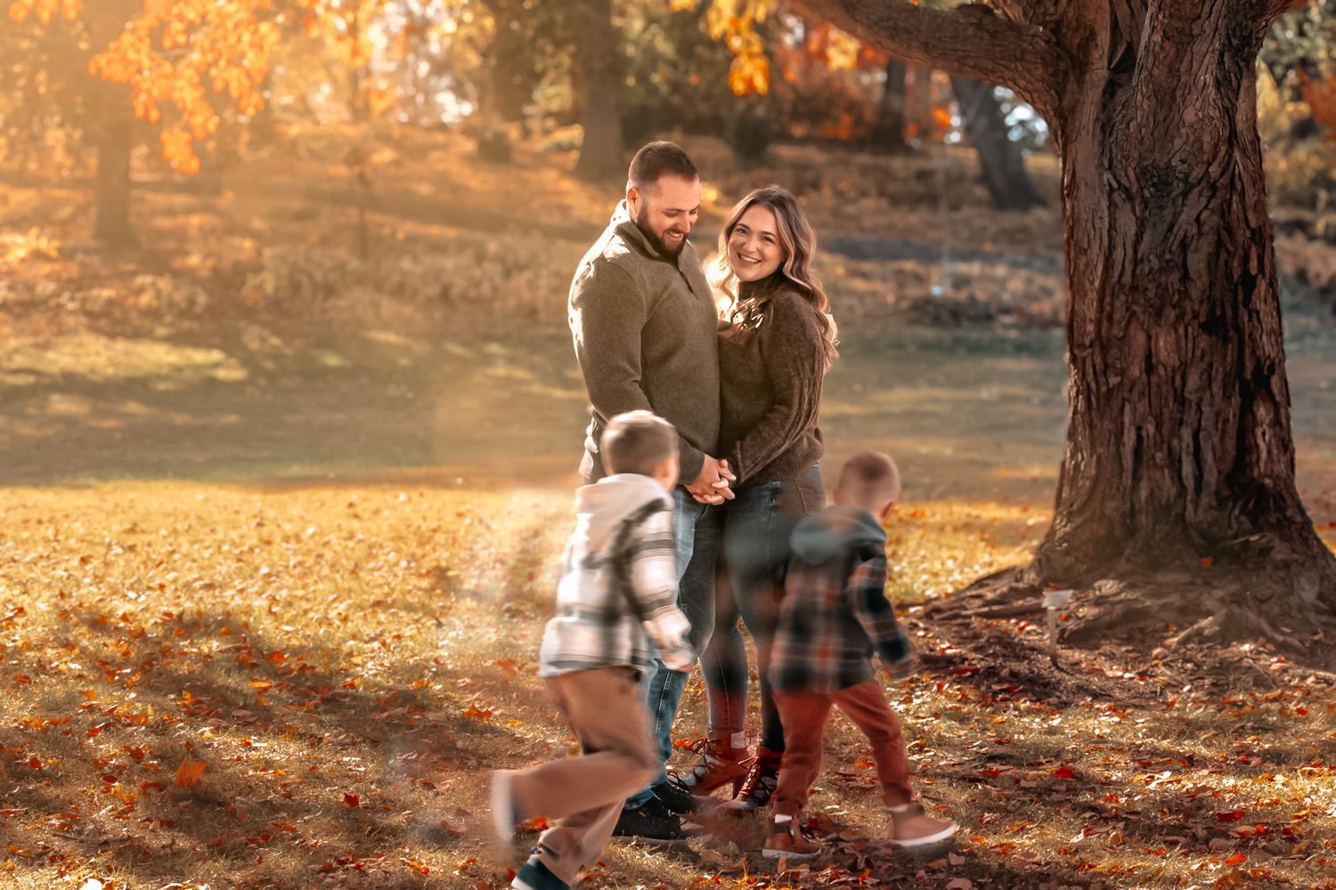Warm sunset light filtering through autumn trees creating golden shadows on fallen leaves.